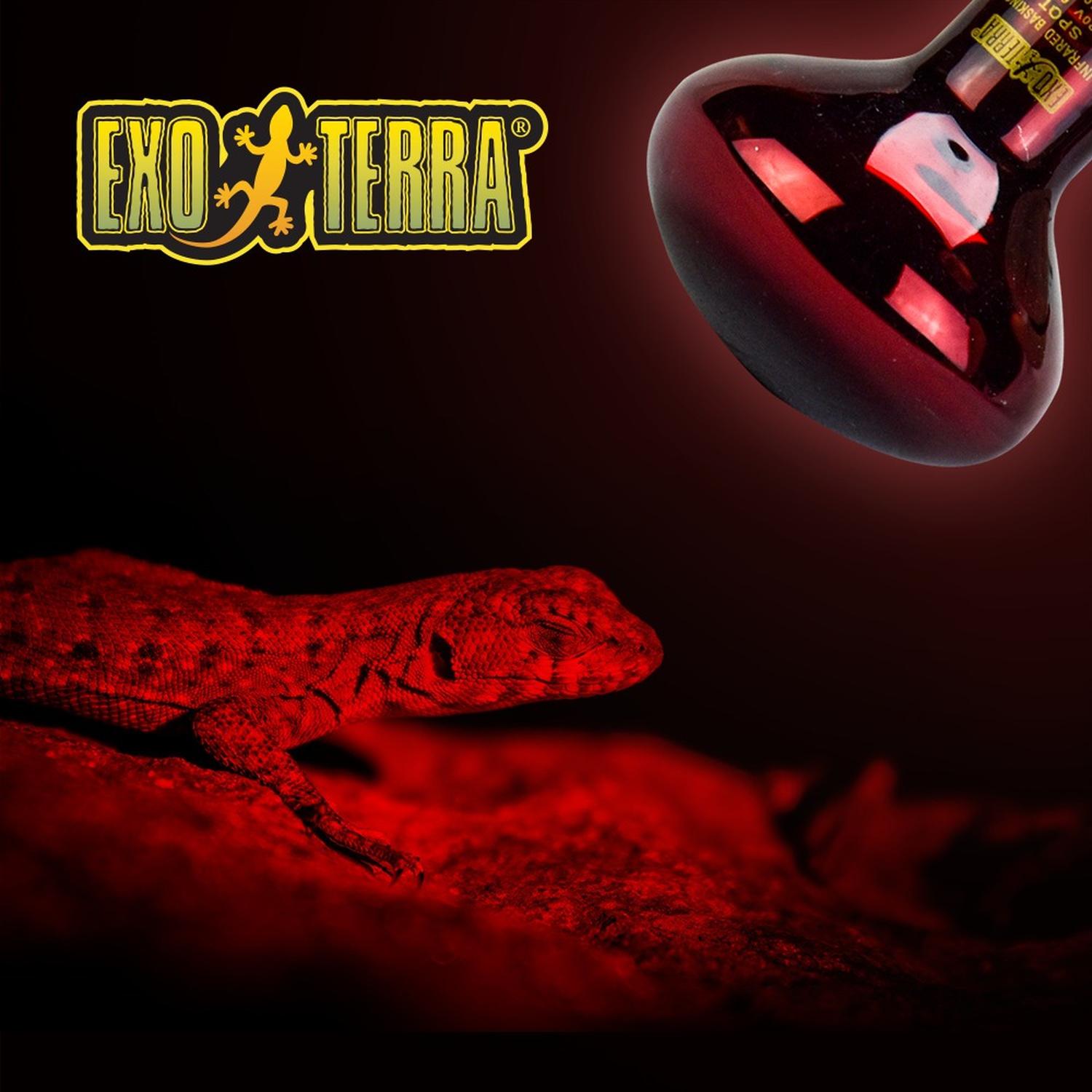 Exo-Terra terrarium or reptile HeatGlo 100w infrared spotlight