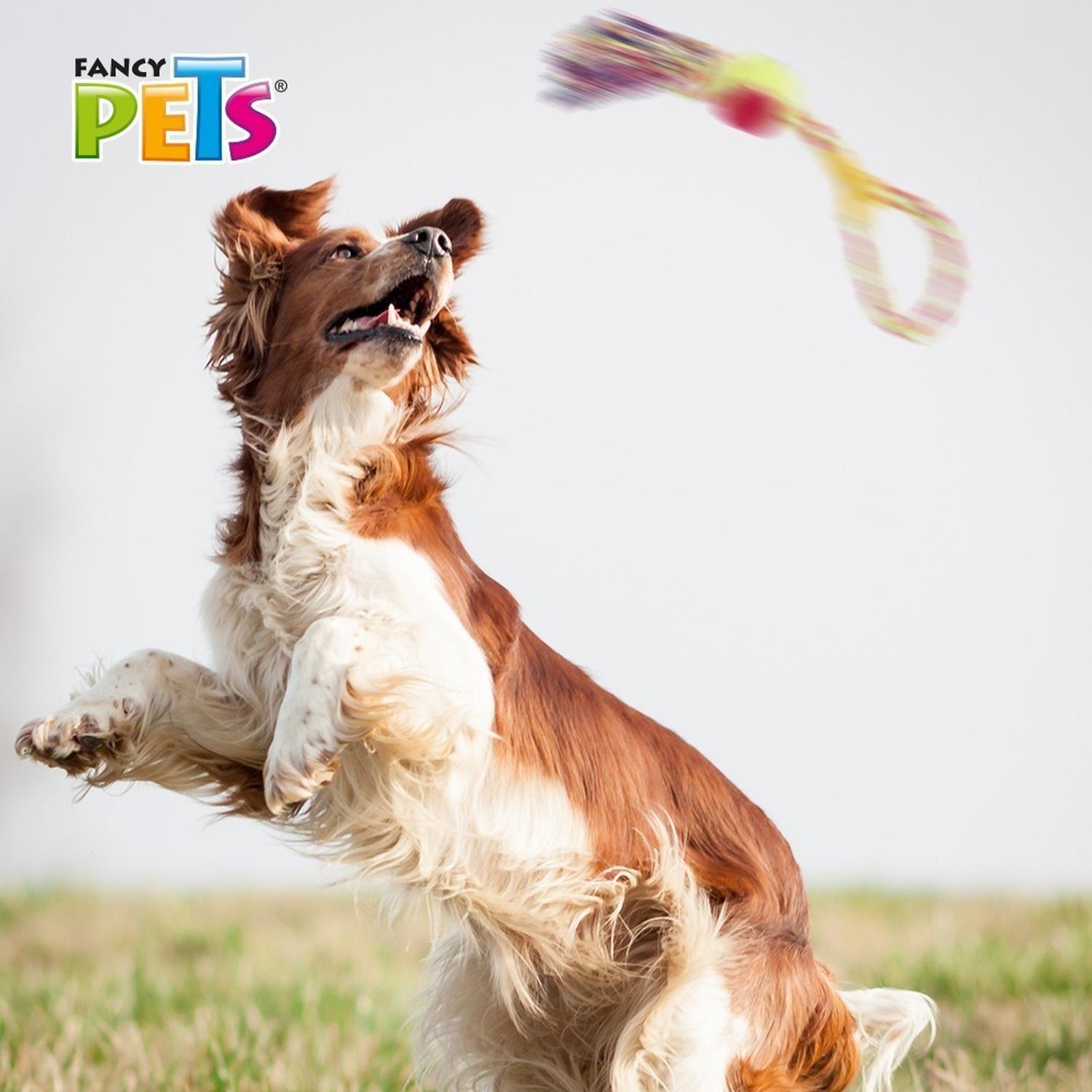 Juguete Para Perro Aro Pelota Y Nudo 40 Cm