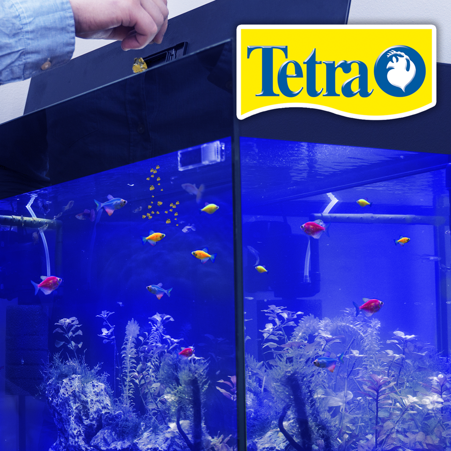 Special Tetra food for GloFish and tropical fish 45g