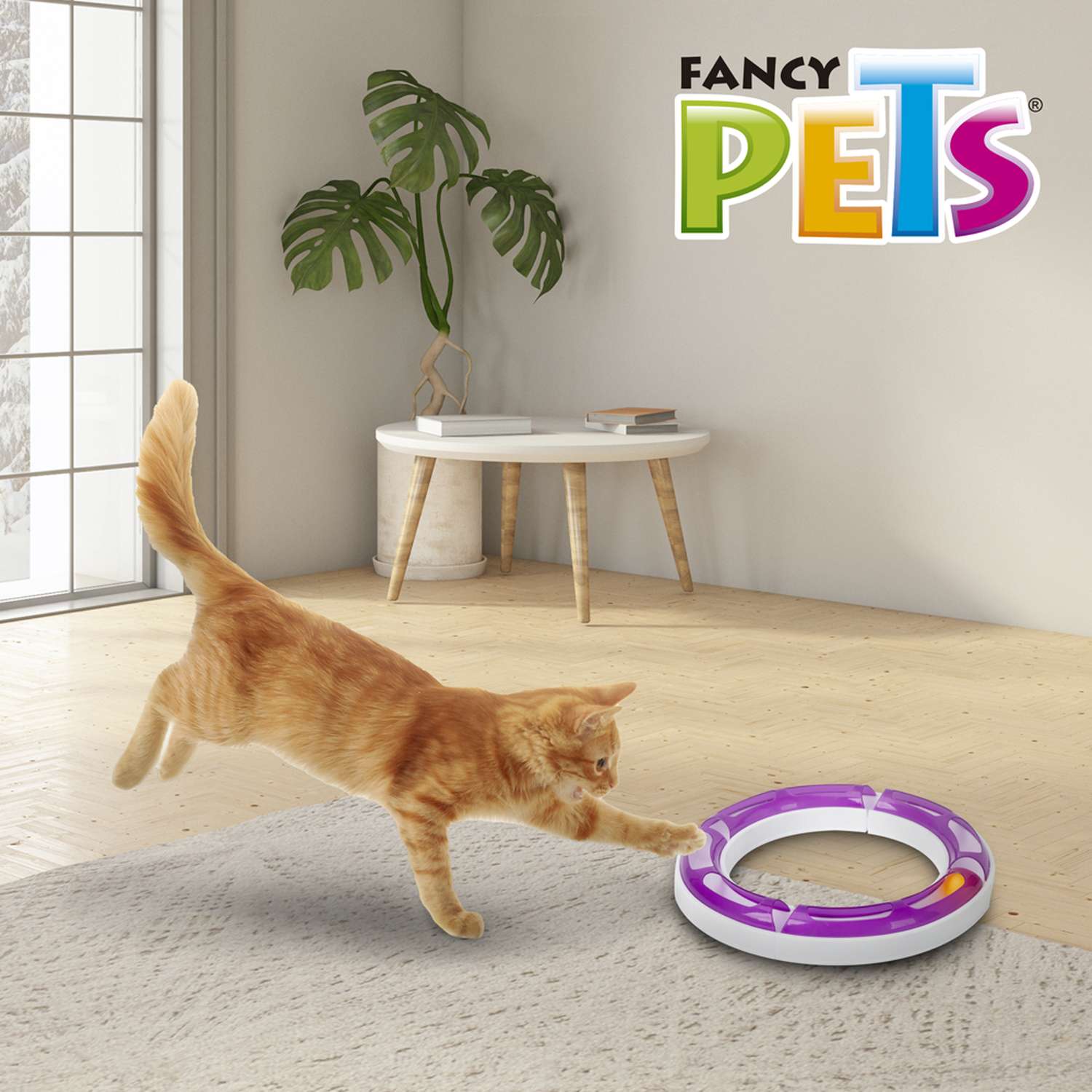 Fancy Pets Juguete para gatos interactivo circuito play 50cms