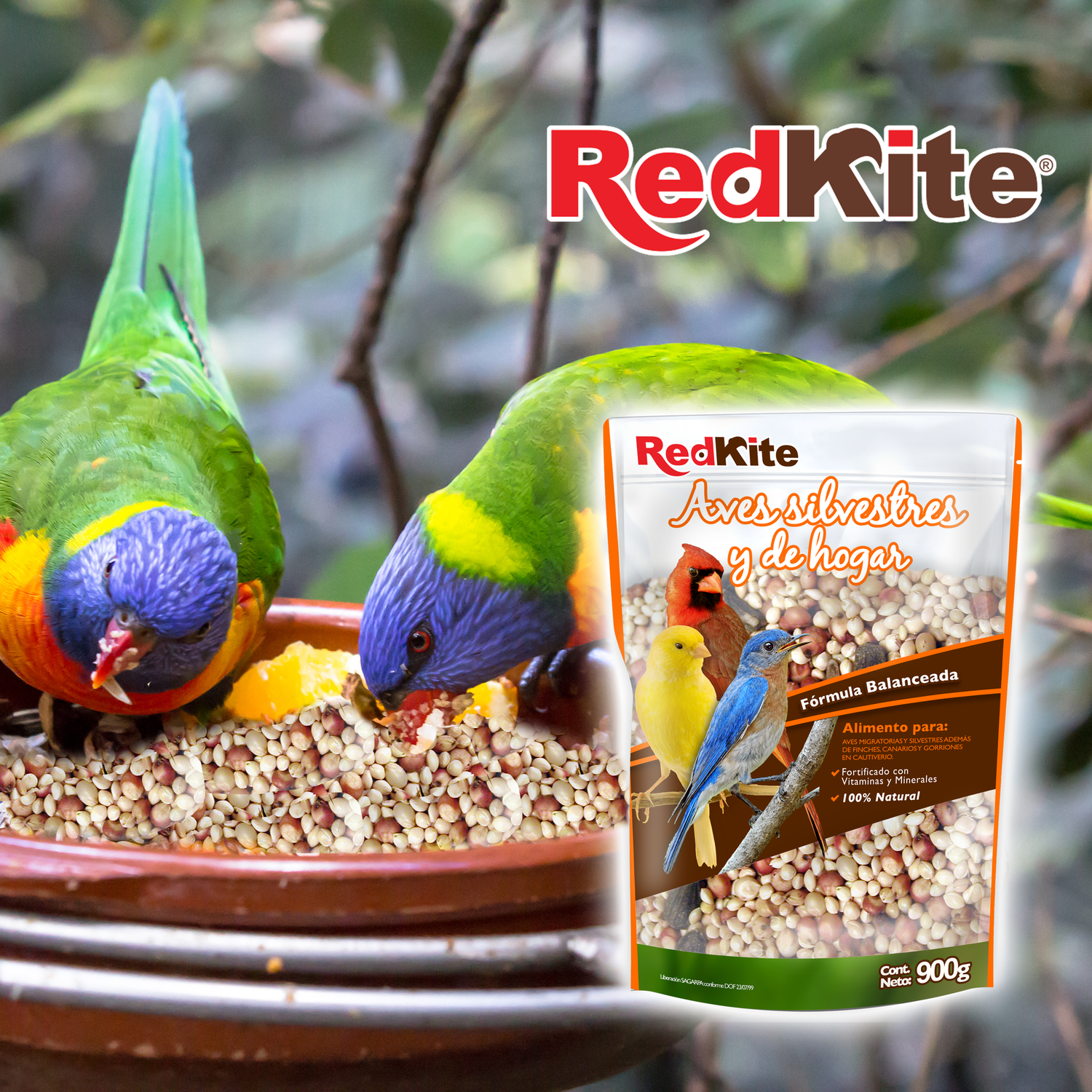 Redkite balanced food finches, canary sparrows 900g