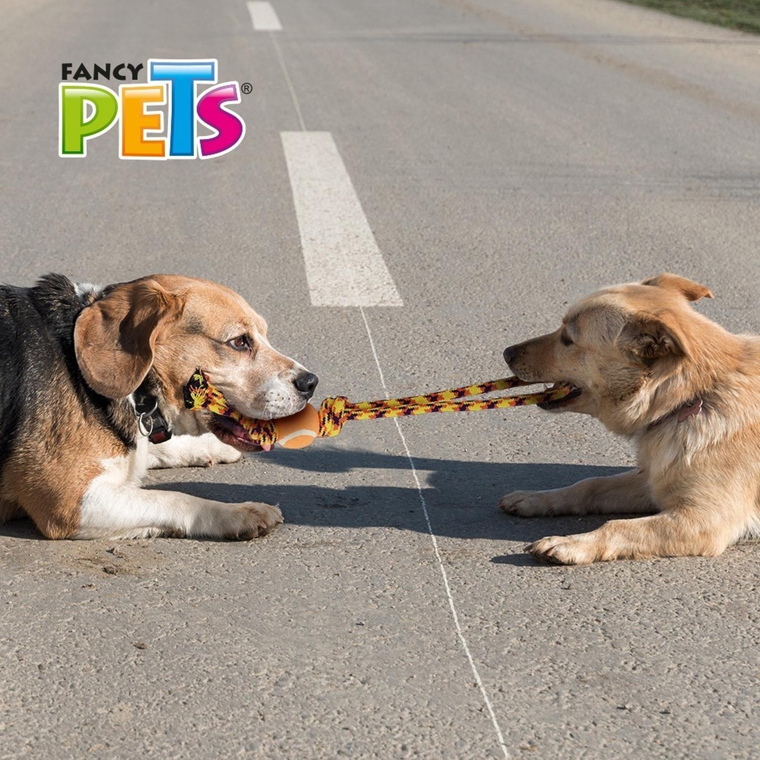 Fancy Pets Juguete Cuerda Tejida Pelota 57 Cm Para Perro