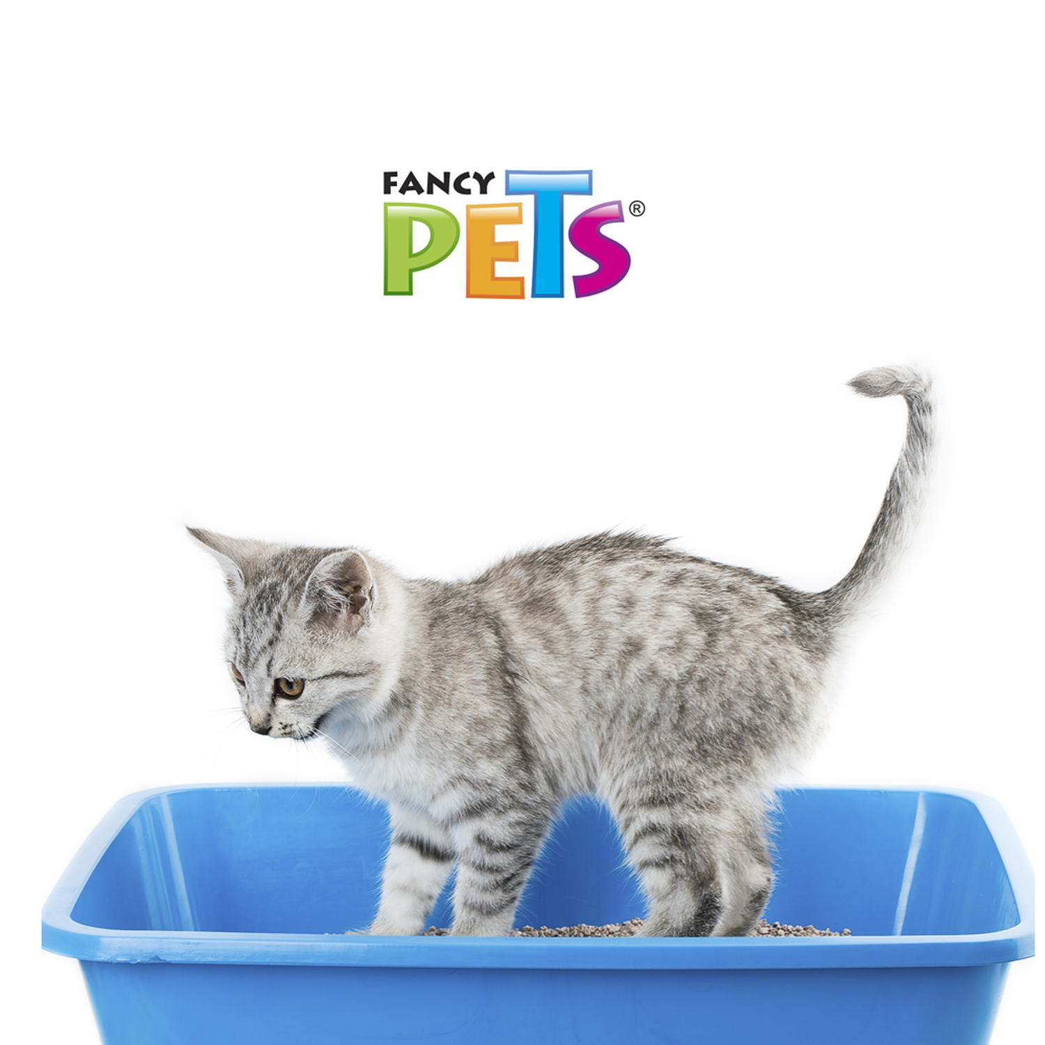 Arena para gato Fancy Pets de 3 kilos