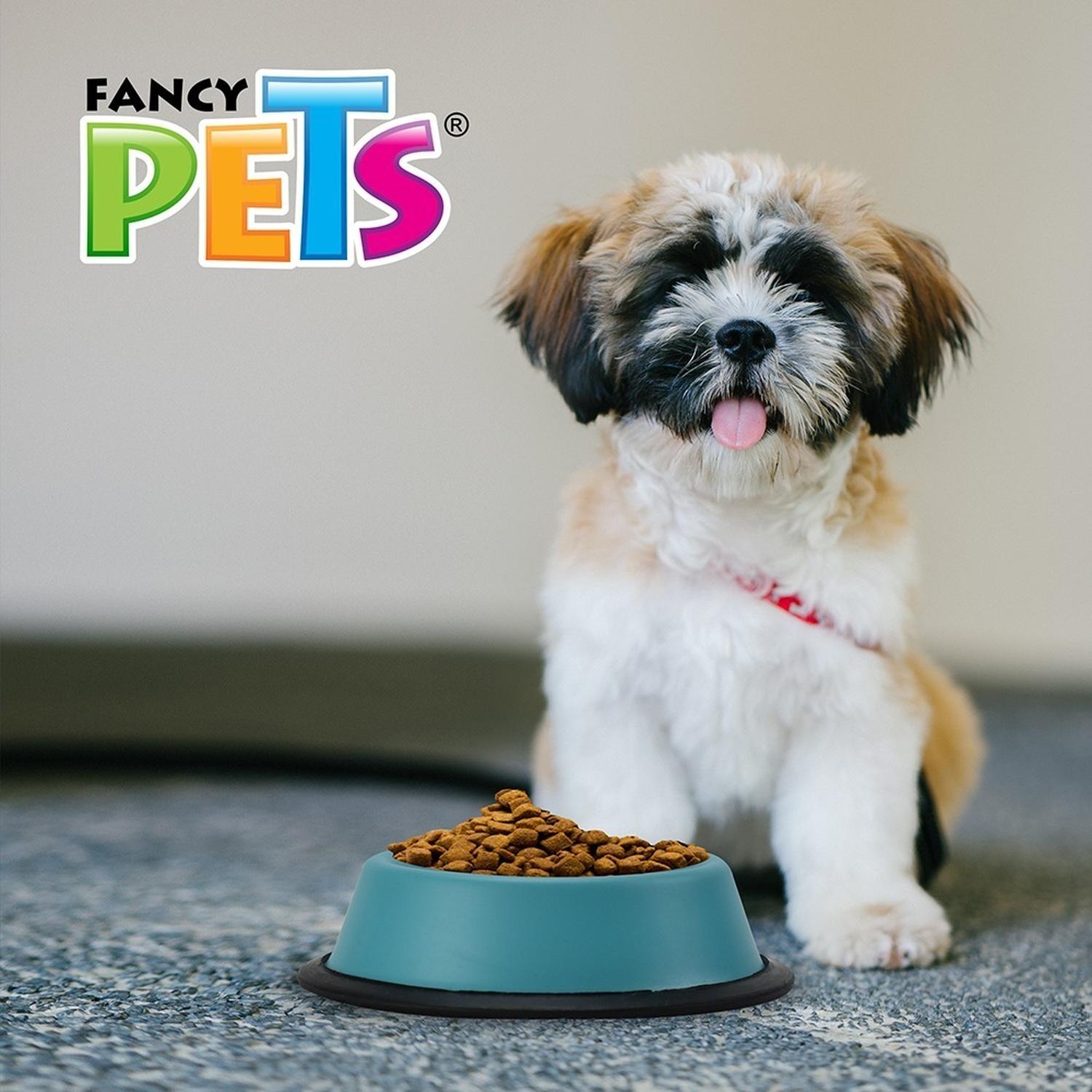 Steel Dog Bowl Assorted Colors 24 Oz