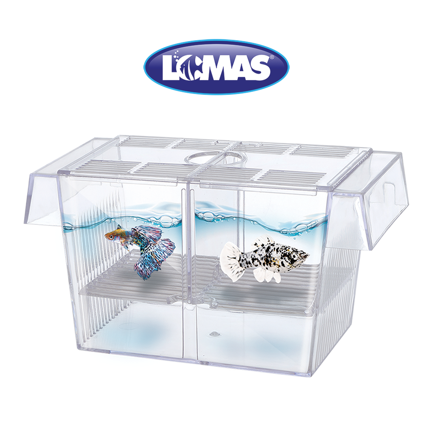 LOMAS maternidad flotante interna guppy molly peces 1.4 L
