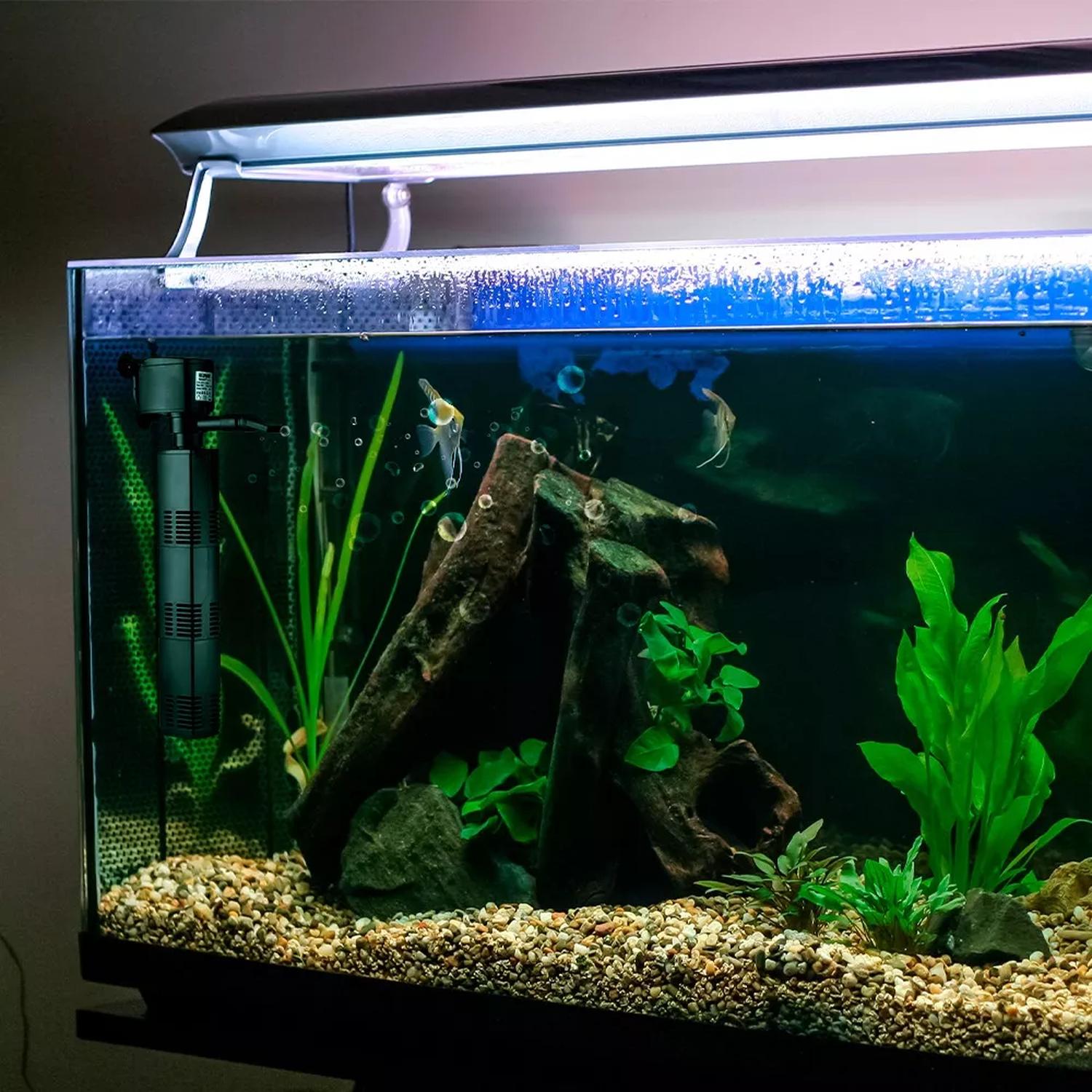 Lomas cabeza de poder para peceras Aqua-Jet 30 450 litros