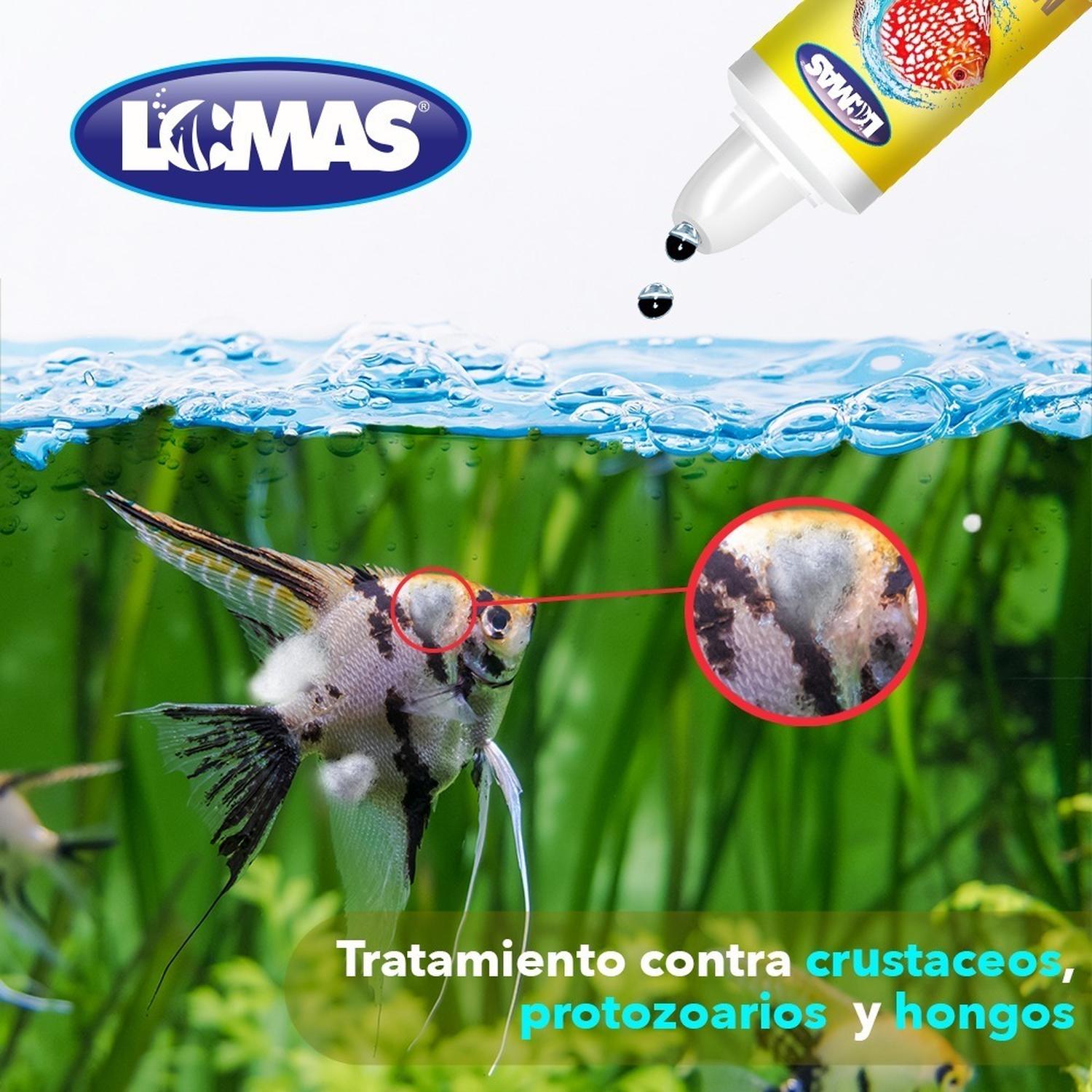 Mega Ox Antiparasitario, Crustáceos, Protozoarios Y Hongos