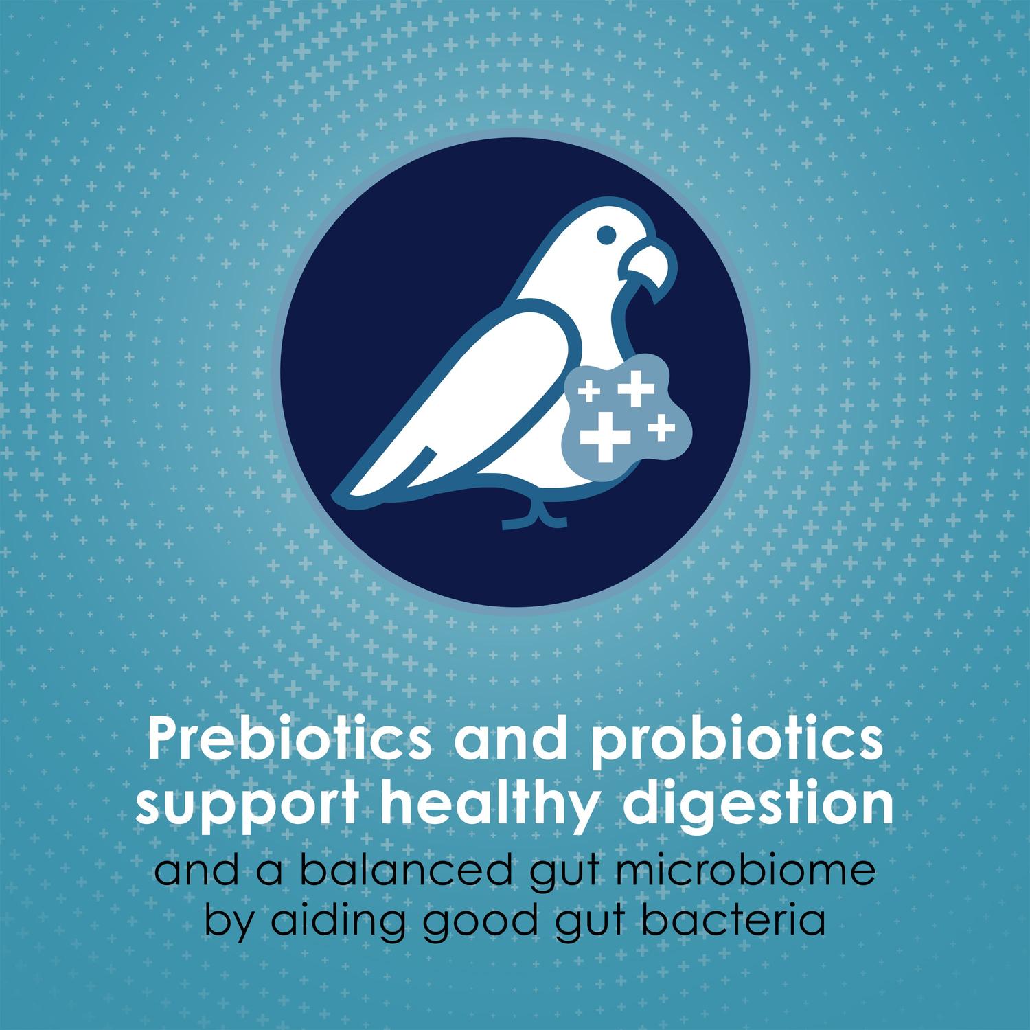 jpg_1500x1500_69369002