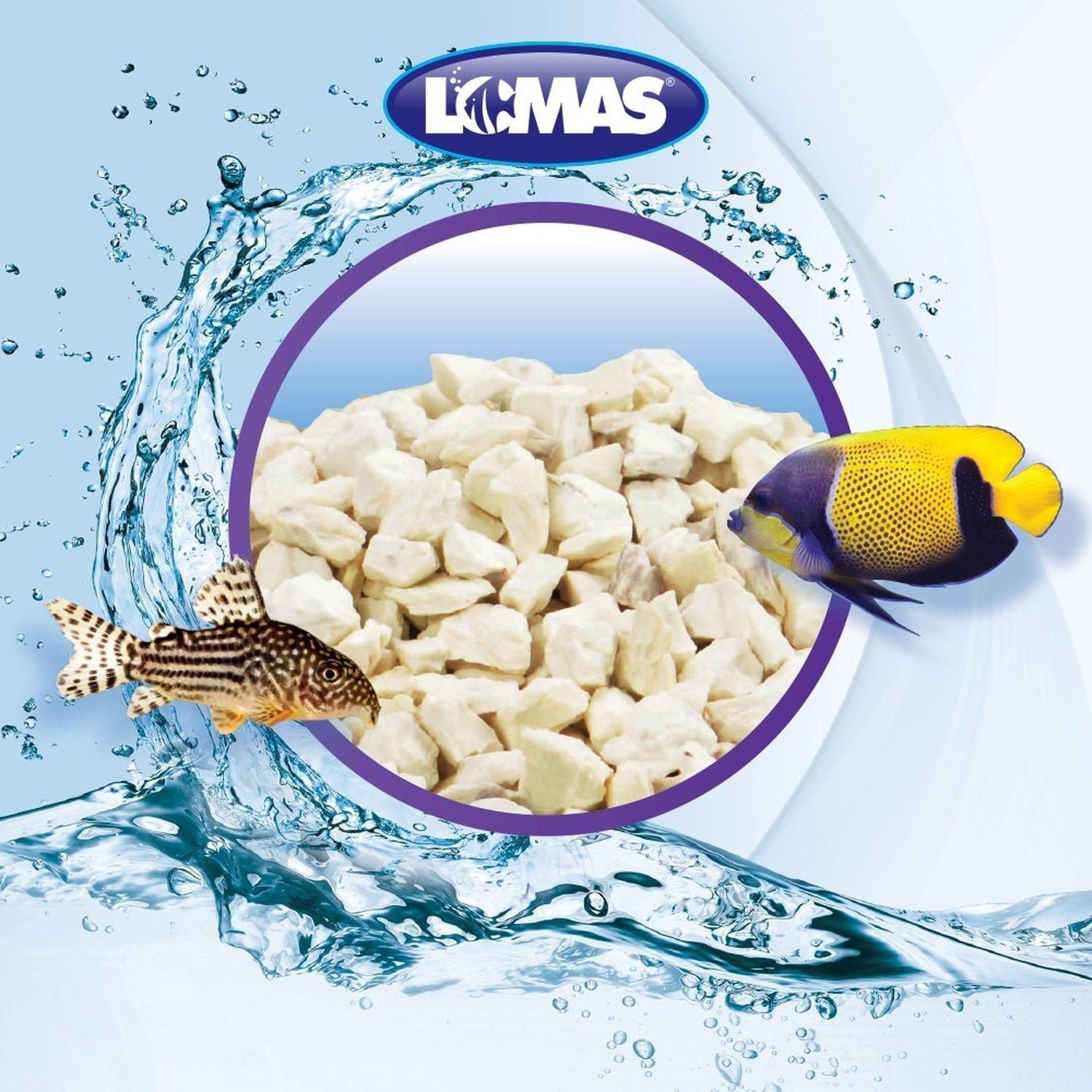 Lomas Ceramica bacteria Filtro o sump 450 Grs Con Malla