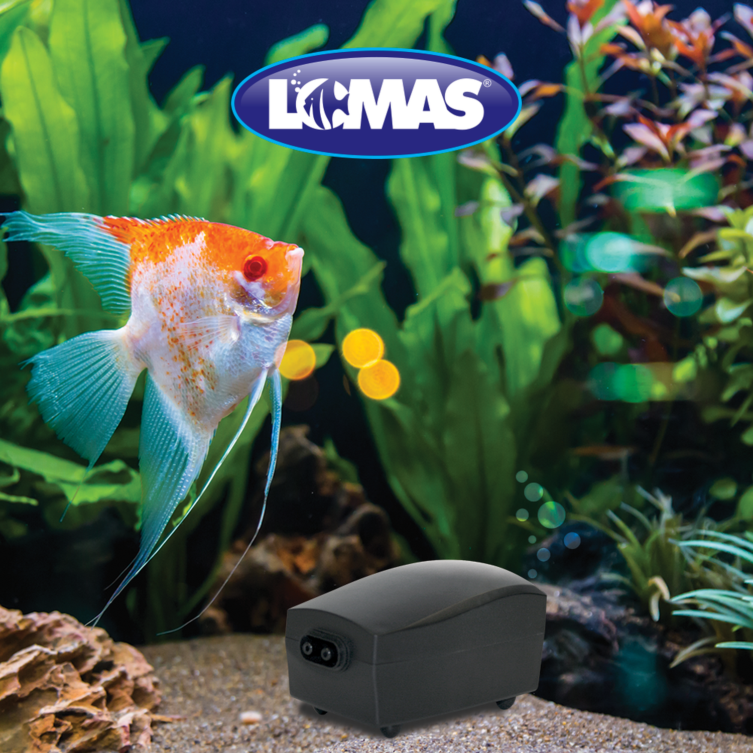 AquaJet 202 2-outlet 60L aquarium oxygenating air pump