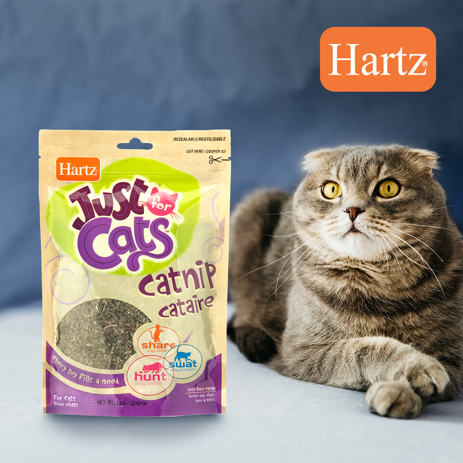 Hartz Atrayante Para Gatos Catnip O Hierba Gatuna 100% pura