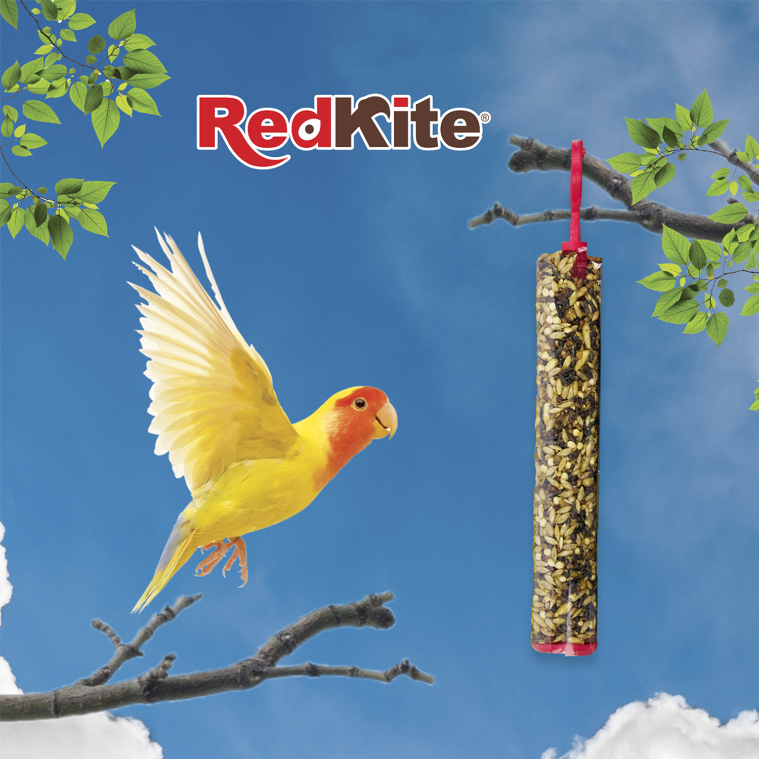 Redkite snack Barrita De Semillas Para Loritos Y Ninfas