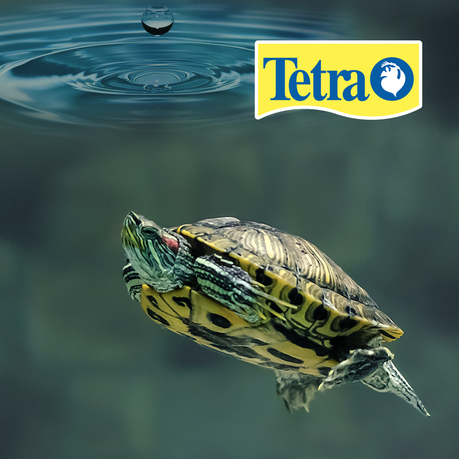 Acondicionador TetraFauna AquaSafe tortuga rana anfibio 100ml