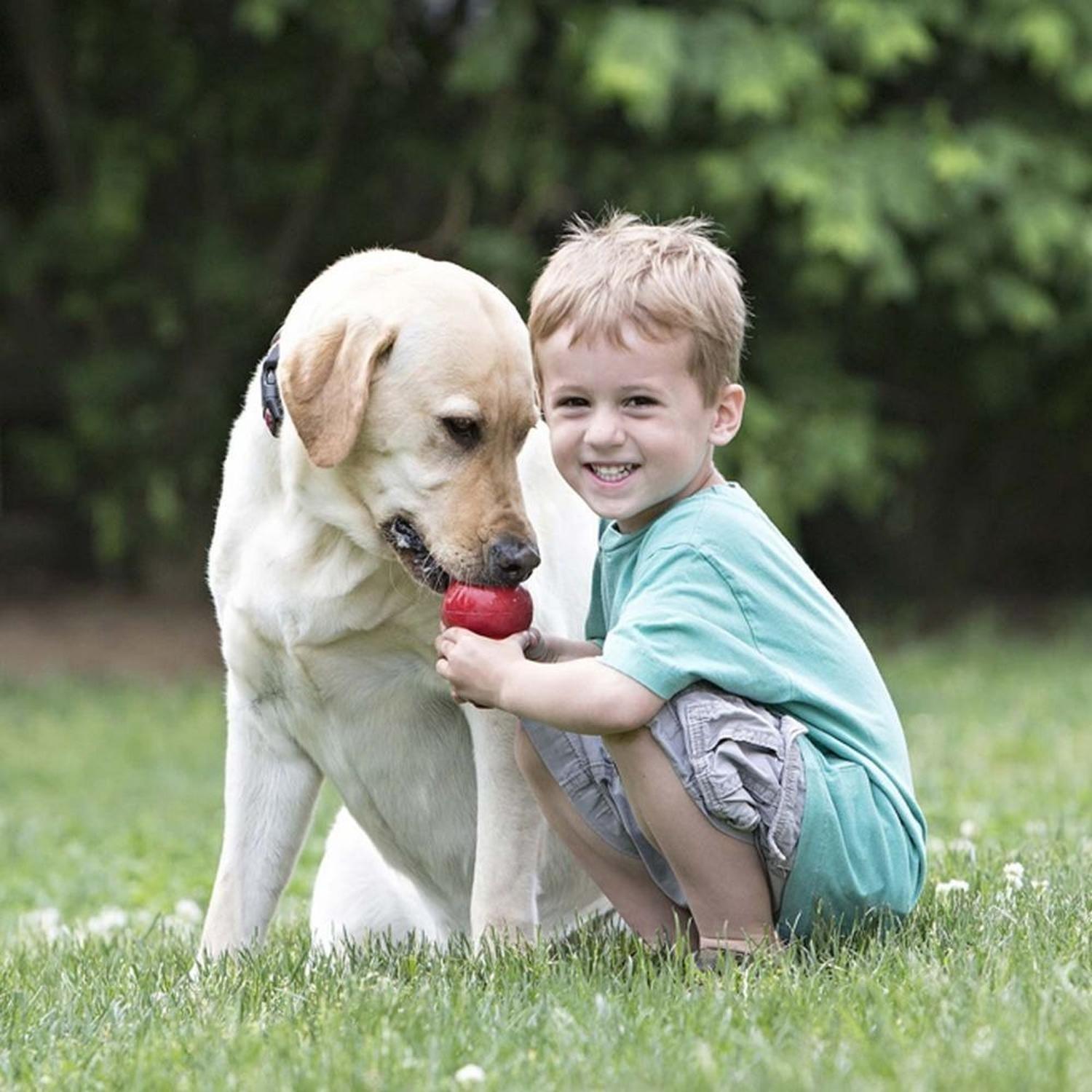 Juguete Para Perros Kong Clásico Extra Chico