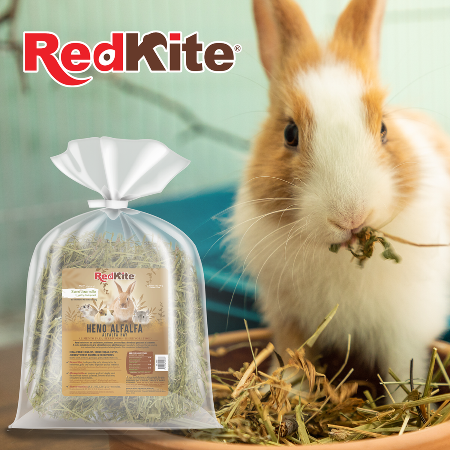 Redkite alfalfa hay whose rabbit chinchilla rodent 500 grs
