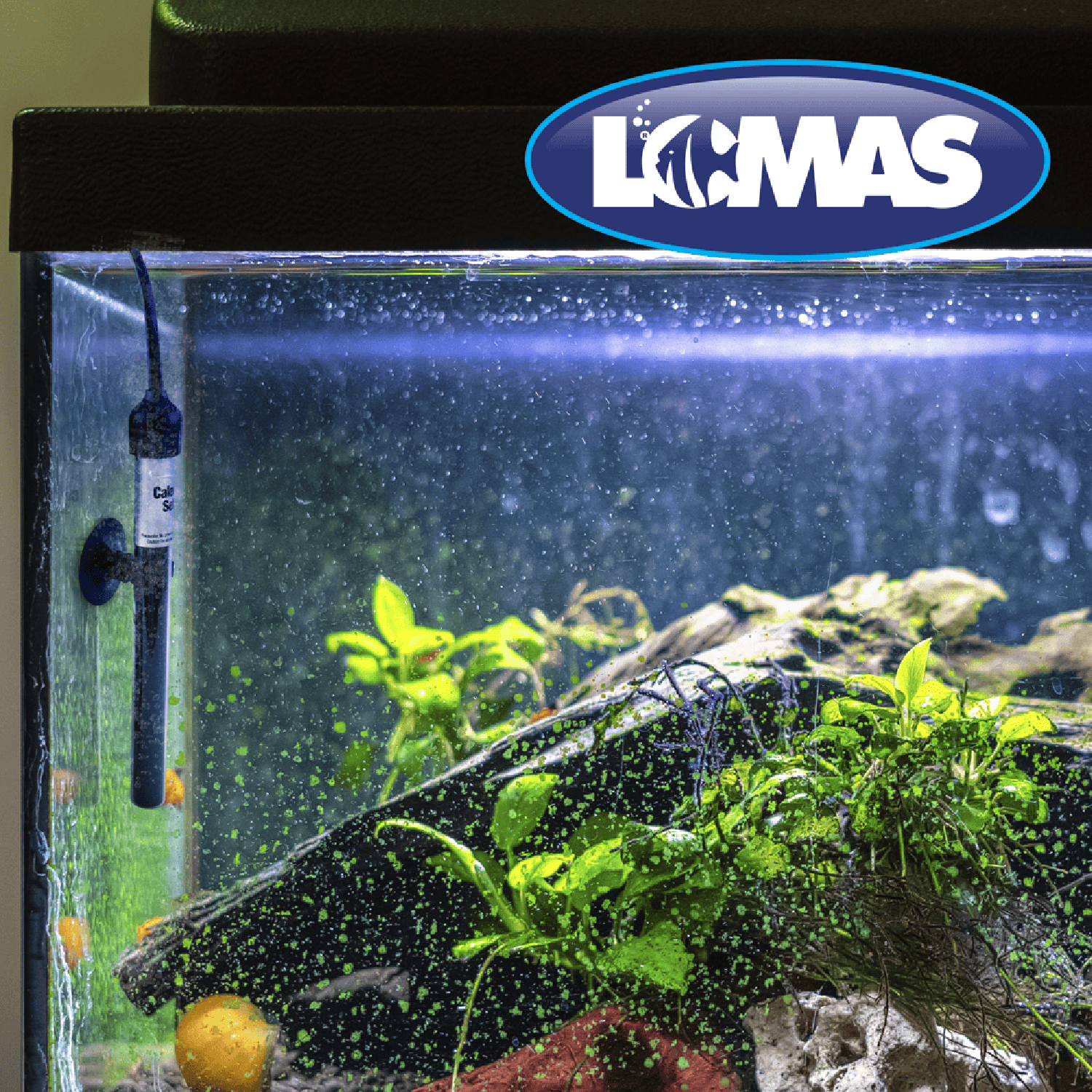 Lomas Calentador Fijo pequeño Thermomini 5W nano acuario