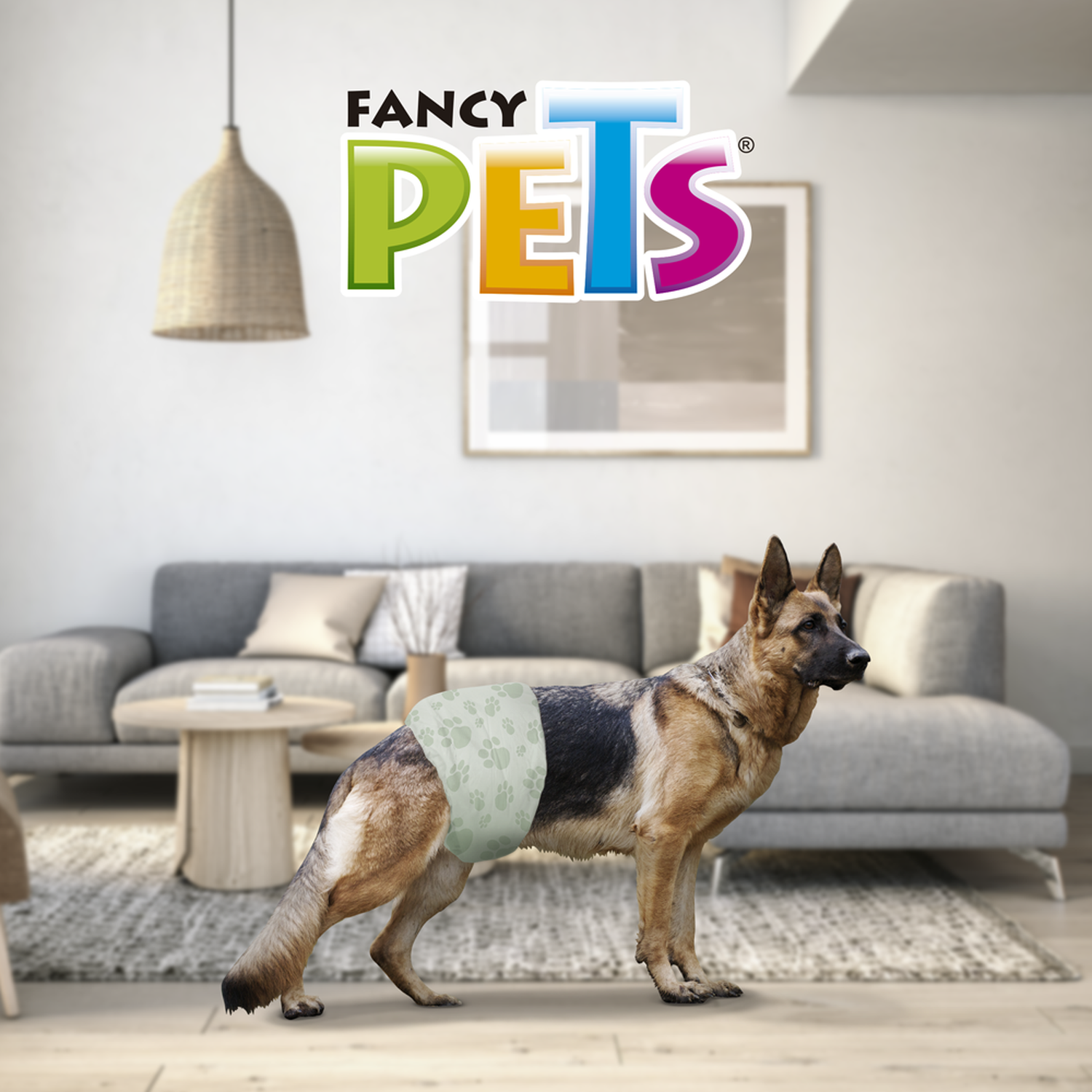 Fancy Pets Pañales para perro macho tamaño grande12 piezas