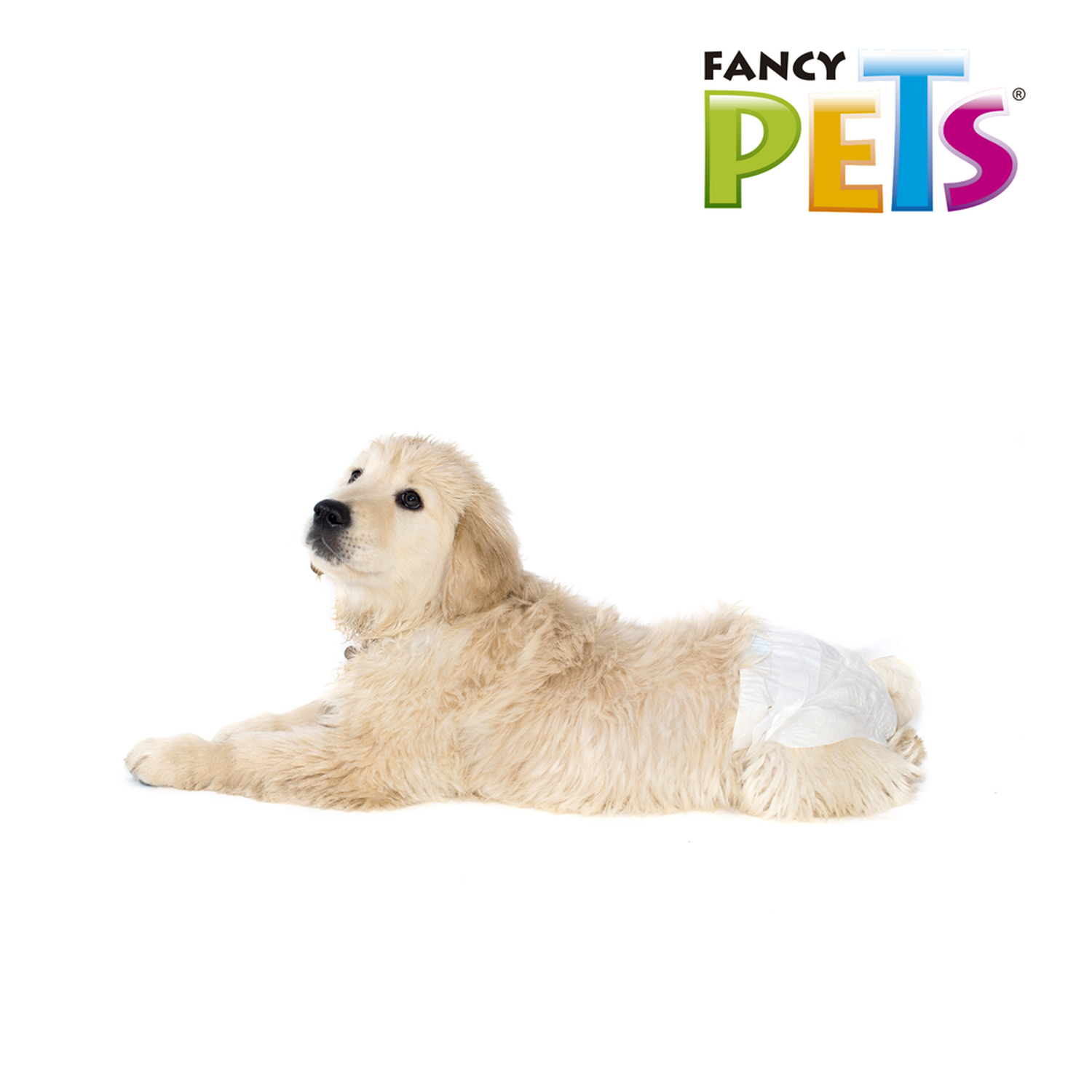 Dry Pet Diapers for small size dogs 12 pieces