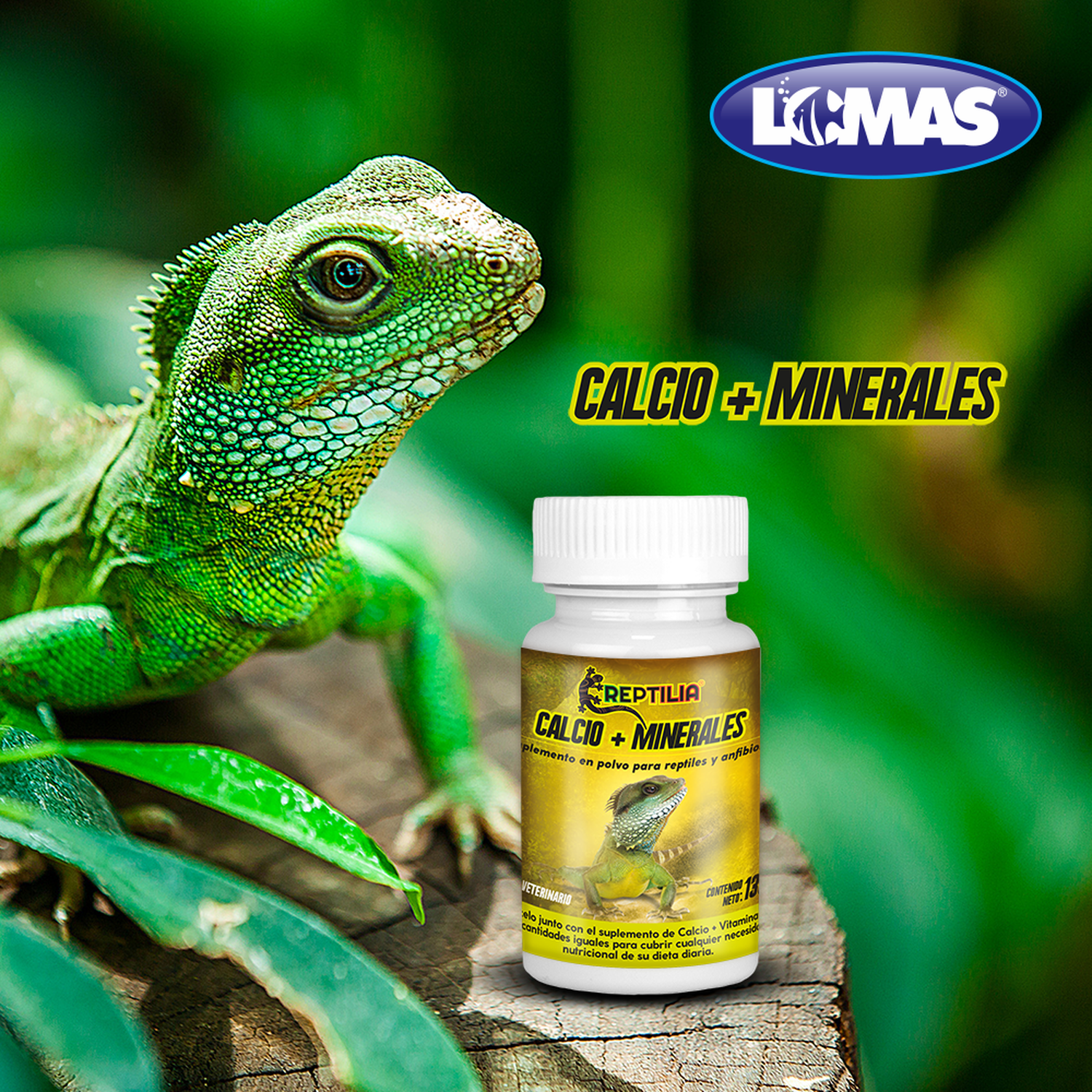 Suplemento calcio y minerales para iguanas, geckos, ranas