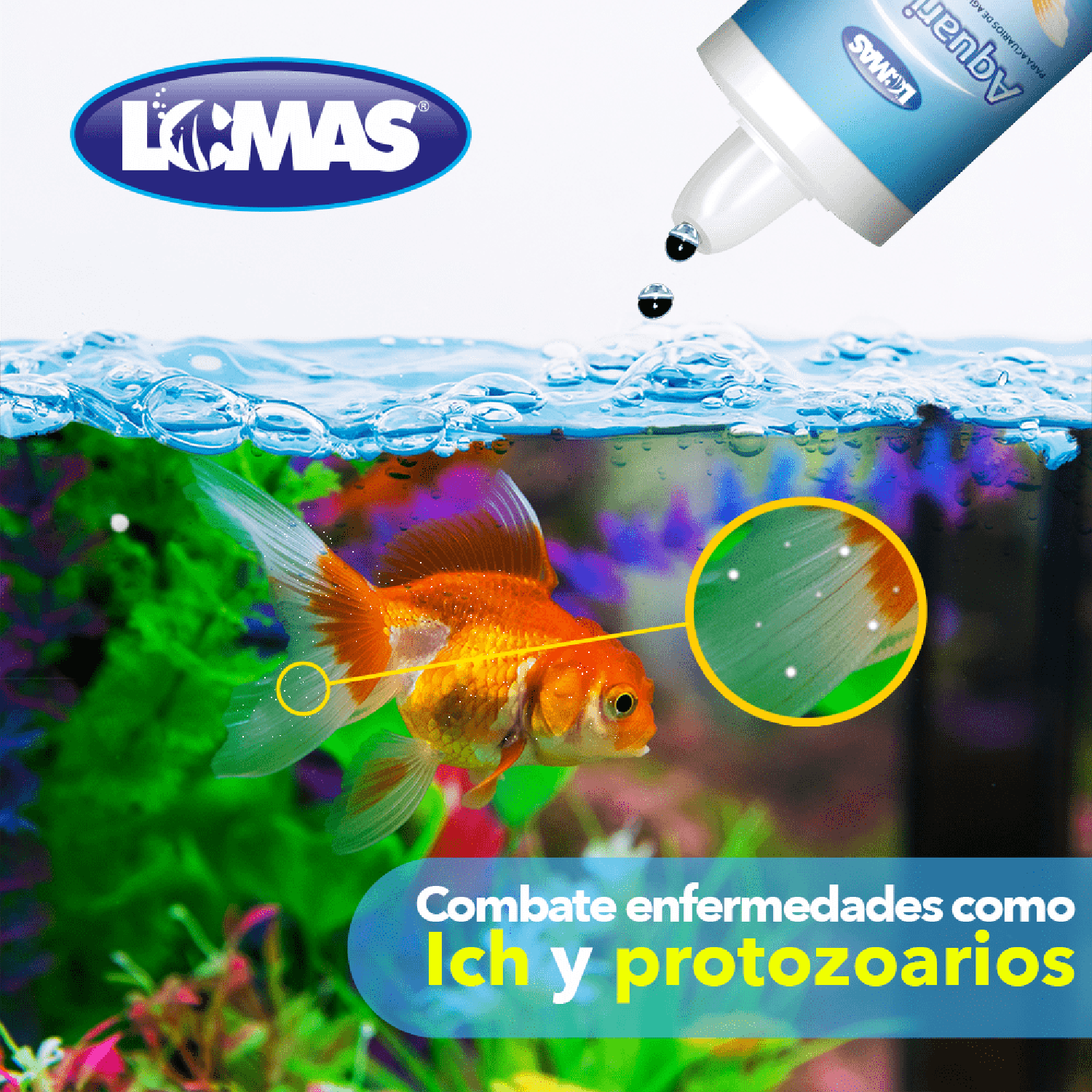 Lomas tratamiento peces japoneses goldfish Aquari-Sol 120 Ml