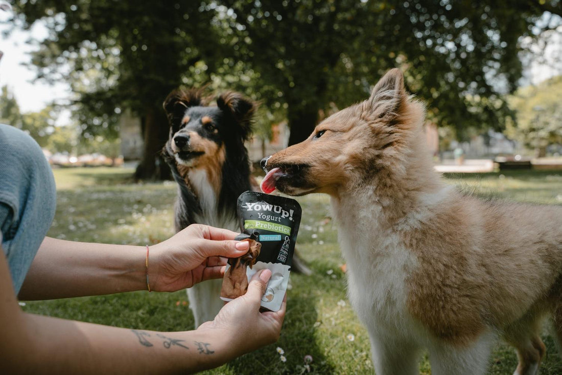 png_1500x1500_69719530