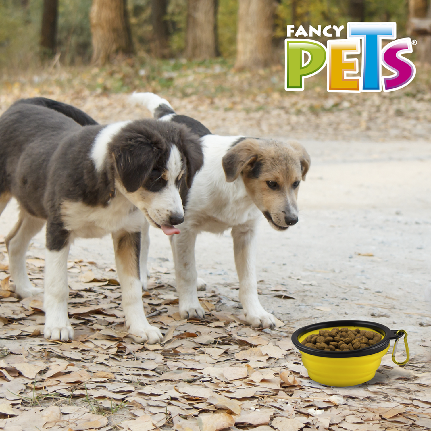 Fancy Pets Foldable Water Bowl Large Dog Travel Walk