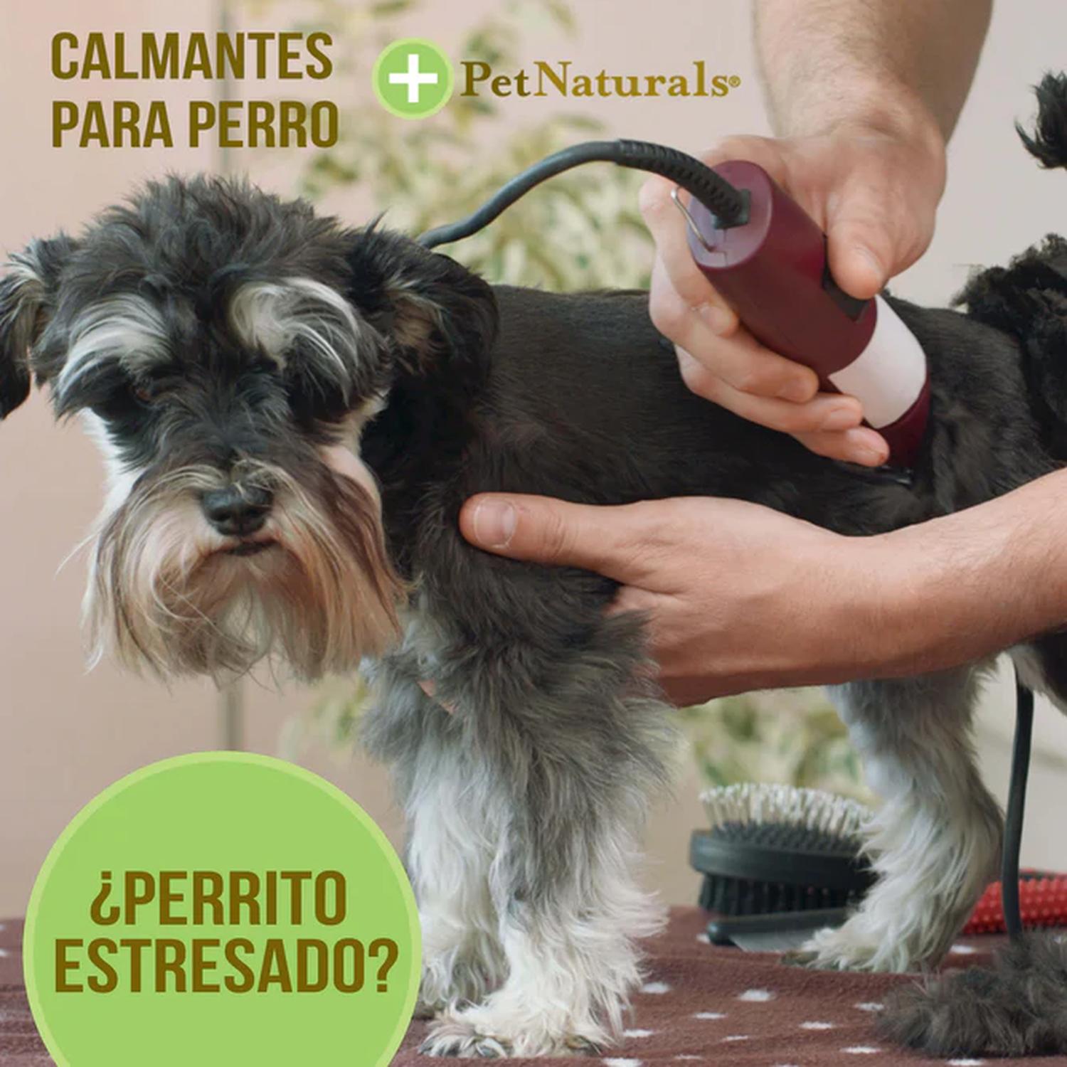 Pet Naturals Calmantes para Perros Medianos y Grandes