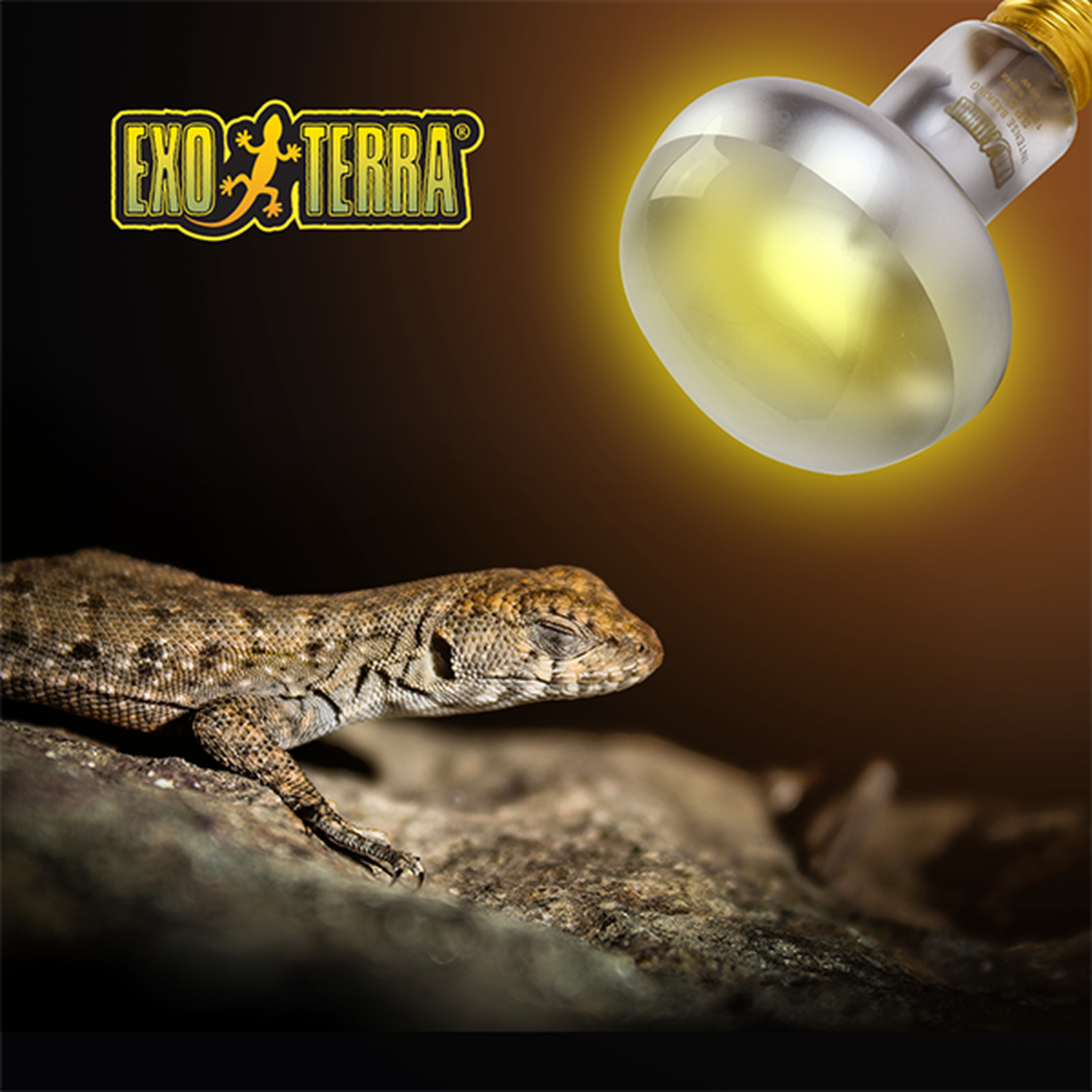 Exo Terra foco para terrario reptiles Sun Glo Tight Beam 100w