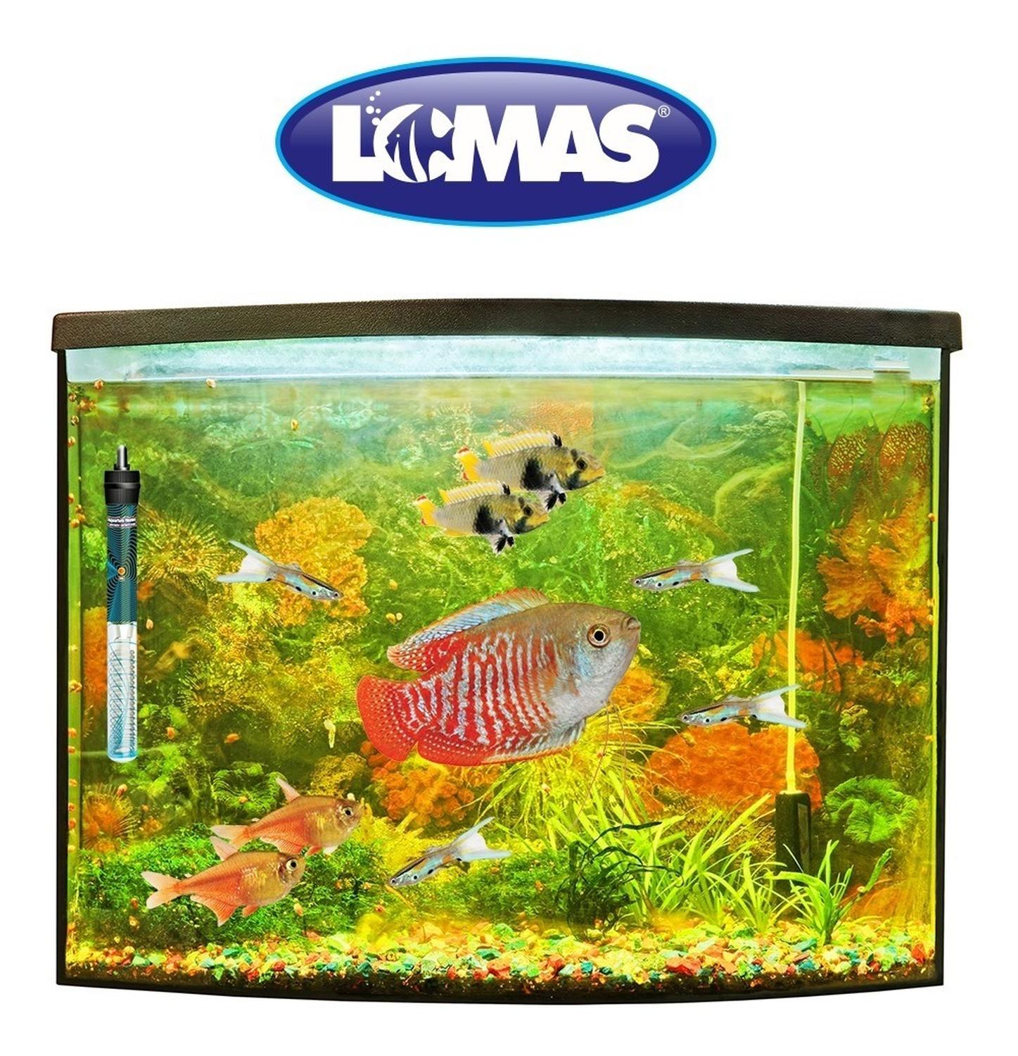 LOMAS Termostato Sumergible Thermo-jet 200w Peceras de 200L