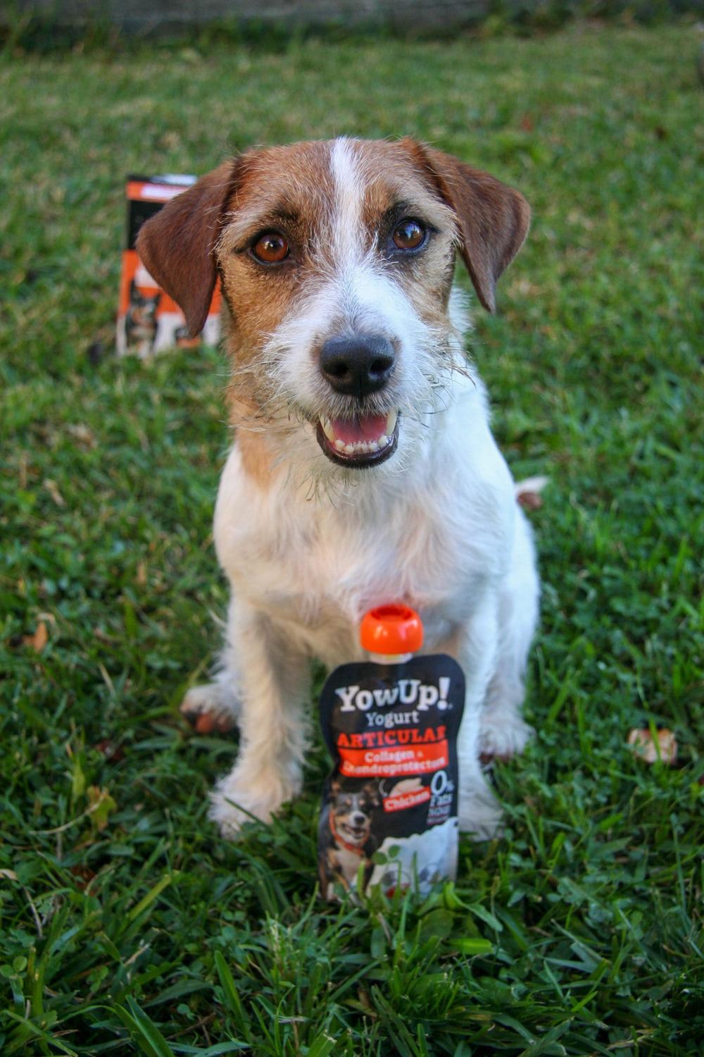 png_1500x1500_69719463