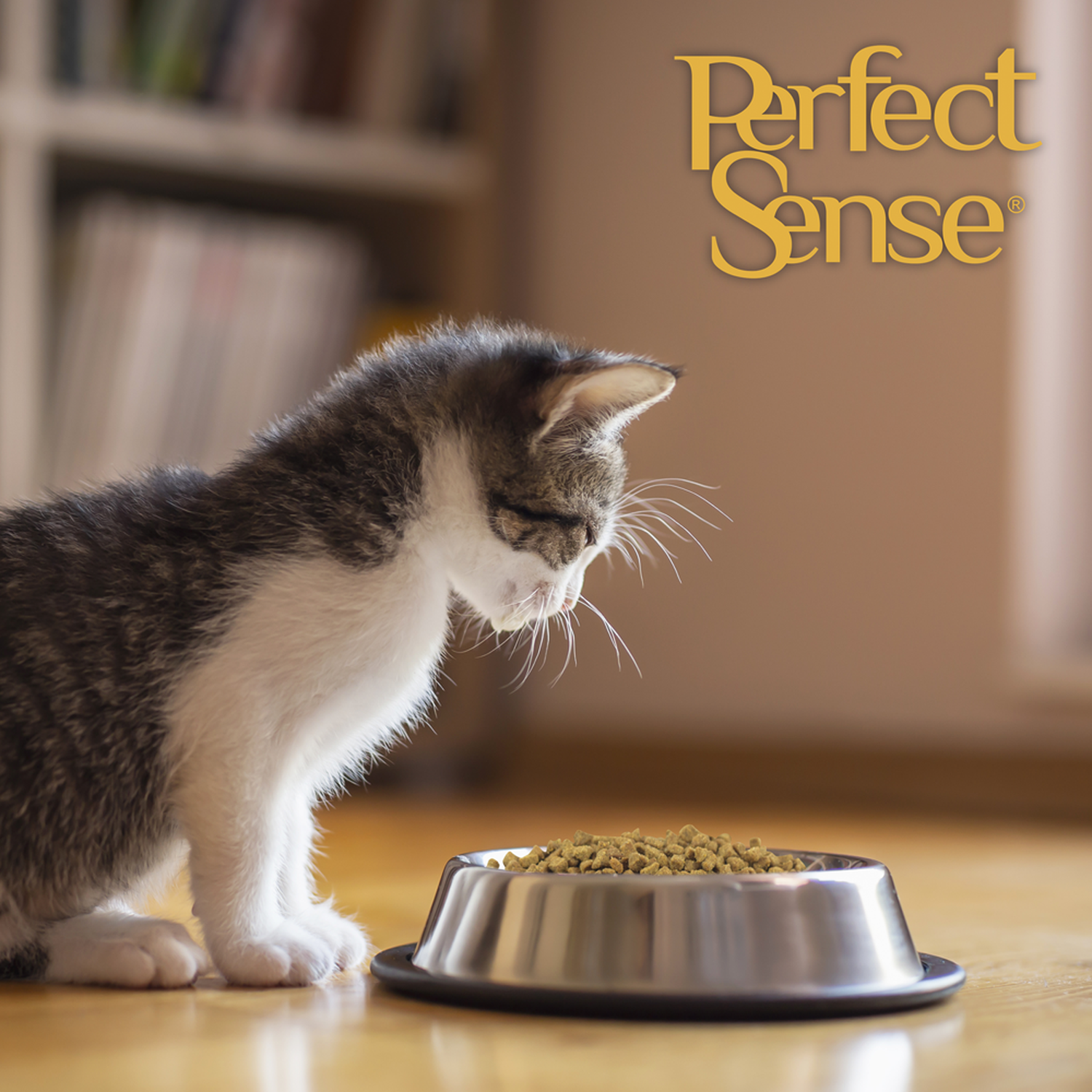 Alimento para gato cría Perfect Sense Kitten 1.5 Kg