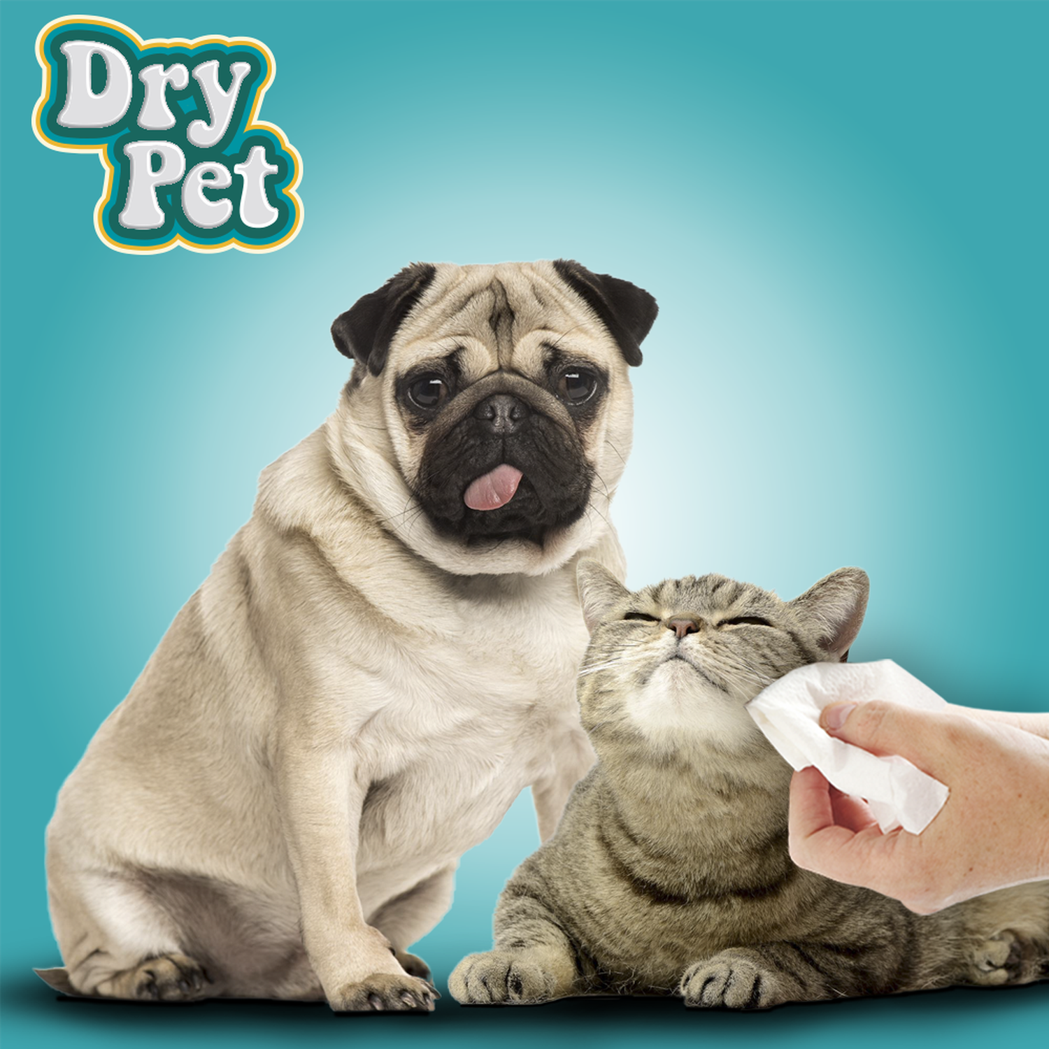 Dry Pet 40 wet wipes after bathing dog and cat