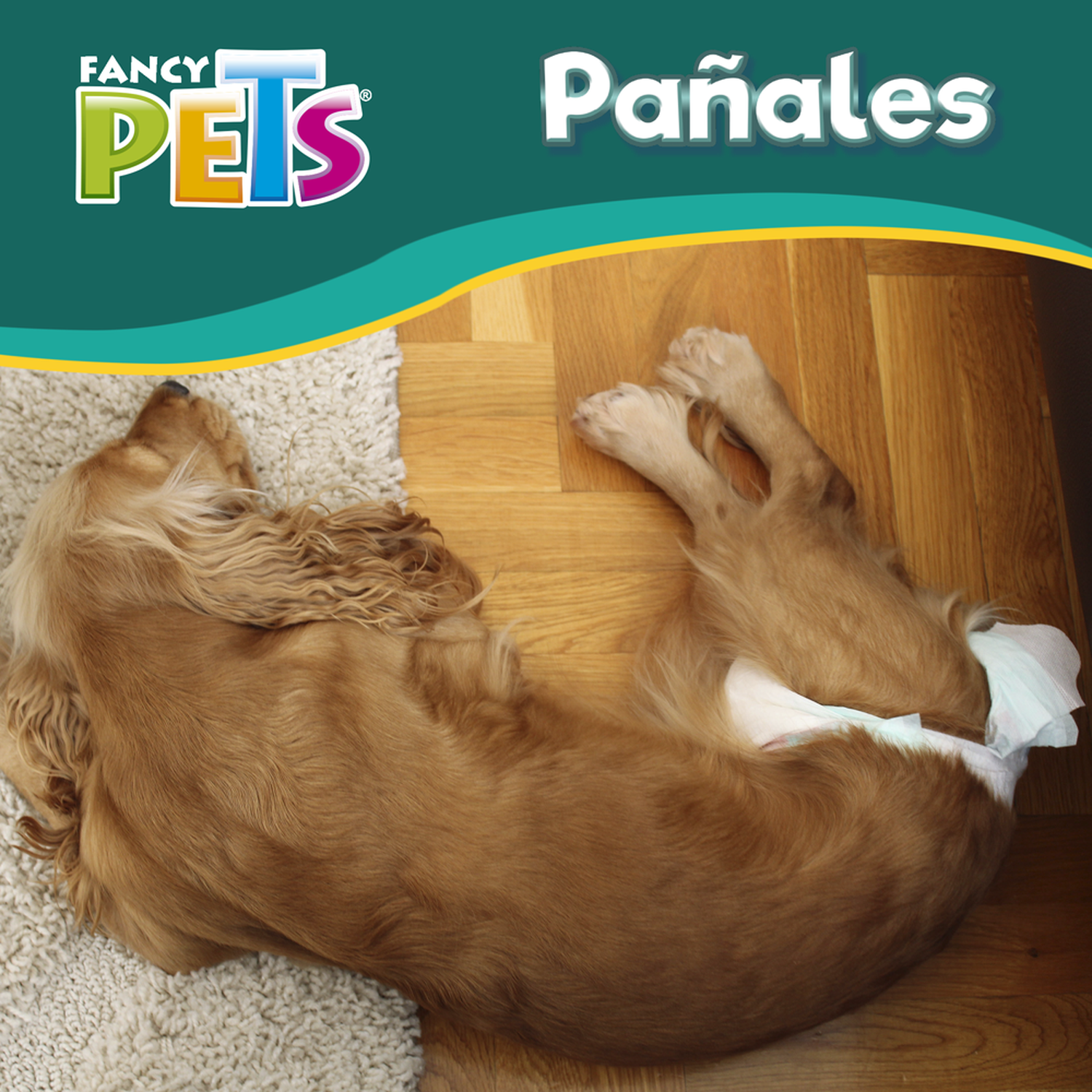 Dry Pet Large Dog Diapers 12 Pieces