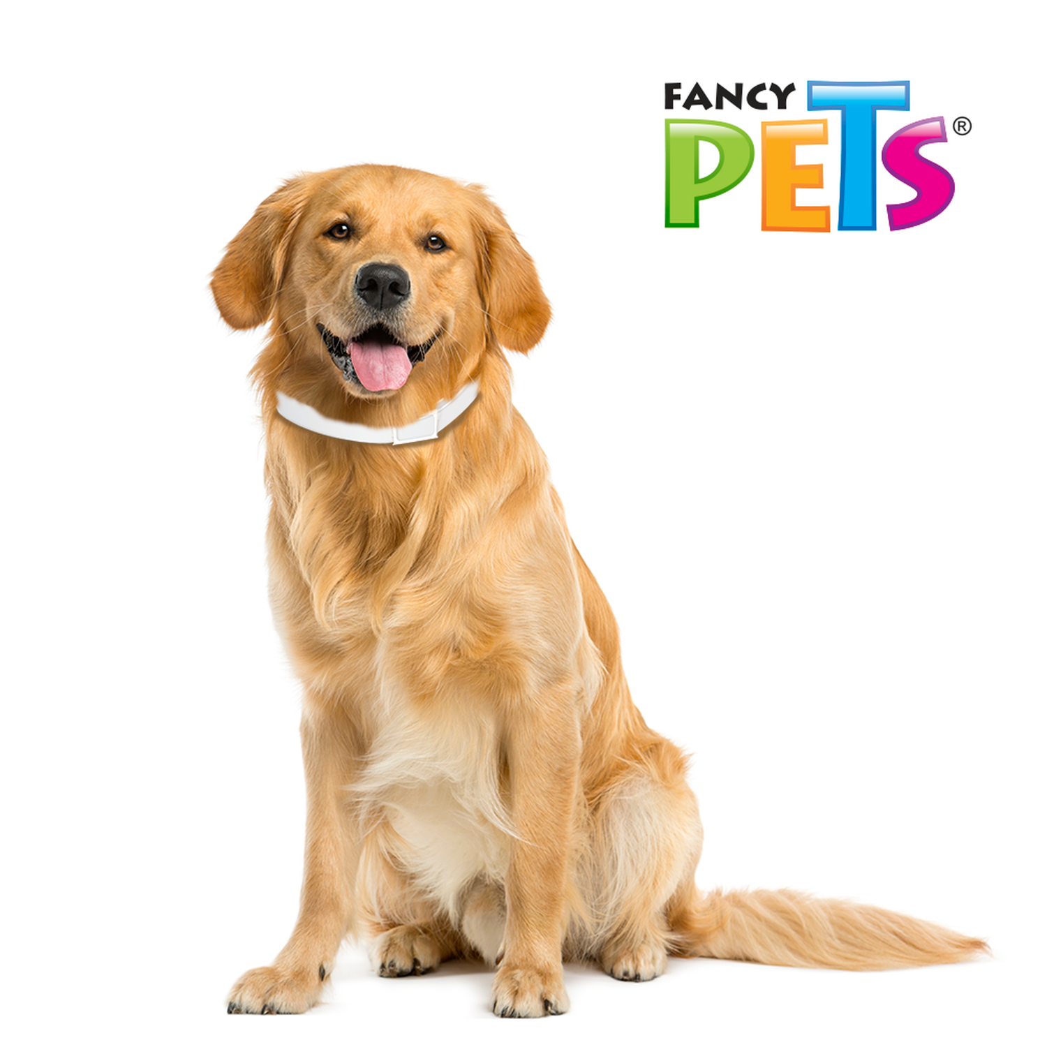 Medical Solutions Collar Antipulgas Para perro grande
