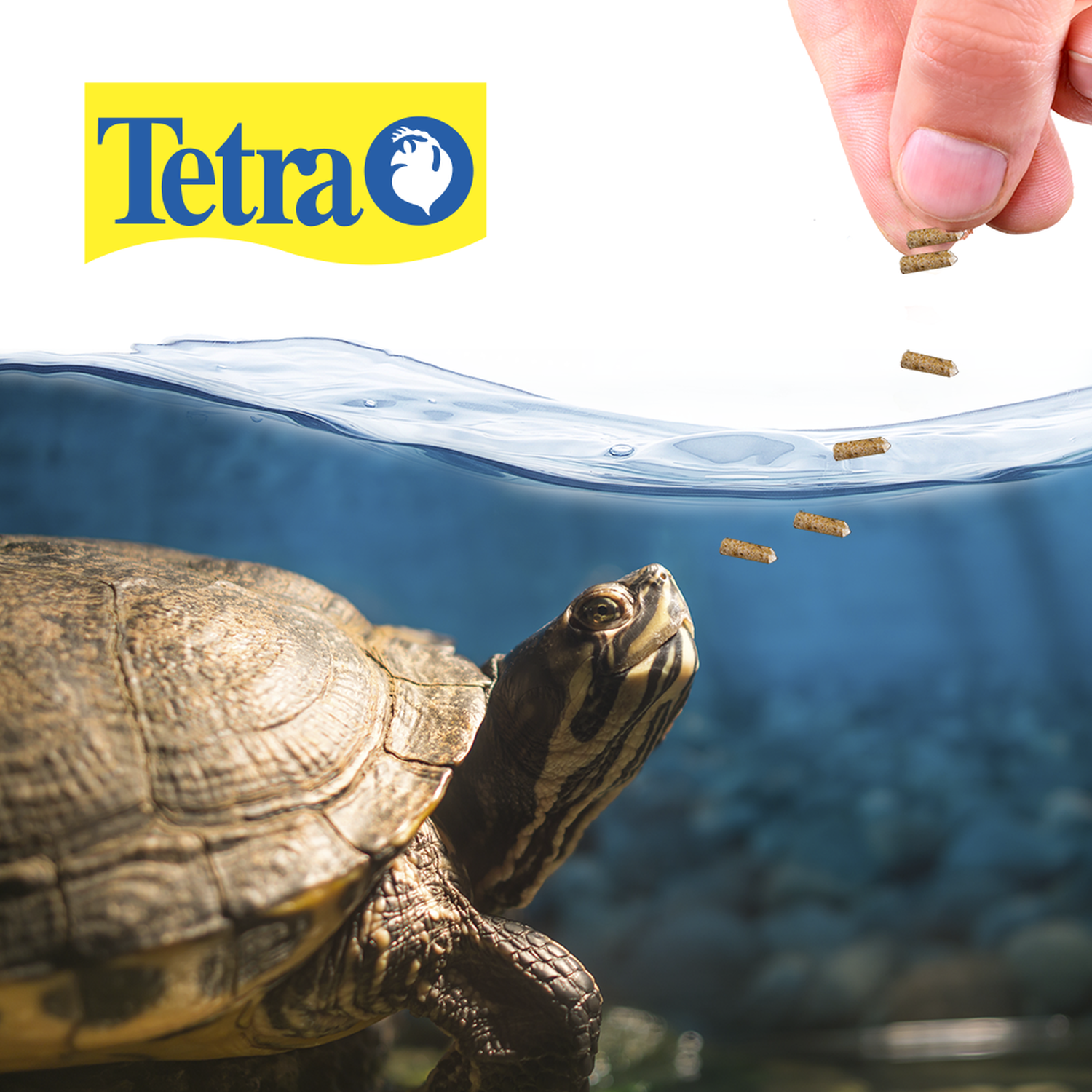 Alimento tortuga anfibio grande Reptomin Sticks Jumbo 290G