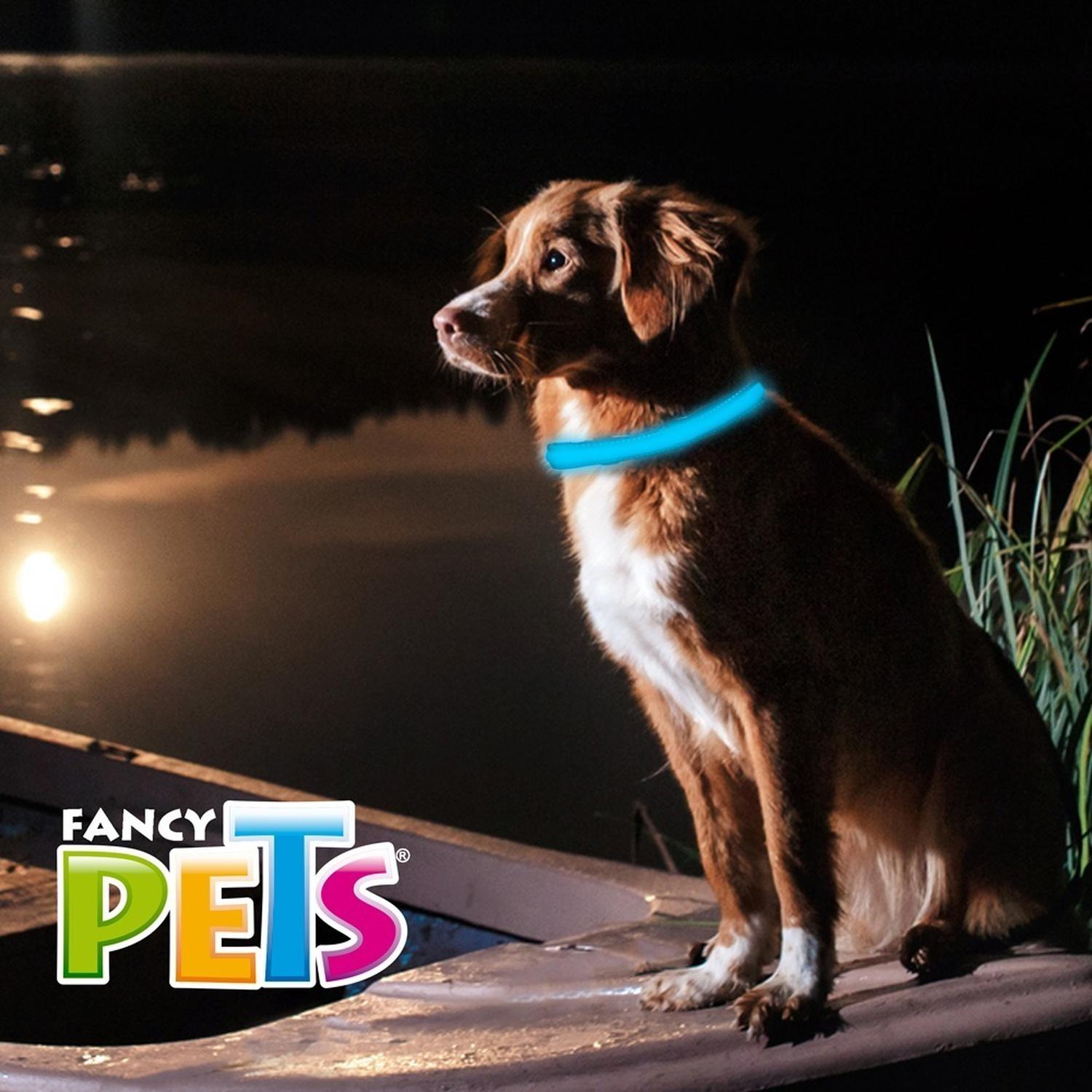 Collar Para Perro Led Reflejante Gde bateria Reemplazable