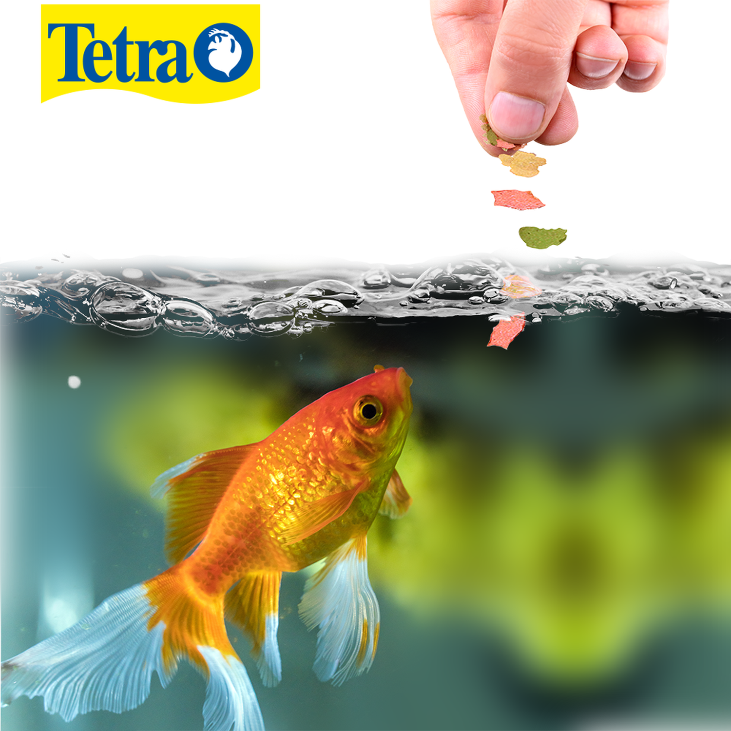 Tetra food Tretrafin Japanese carp flakes 200g