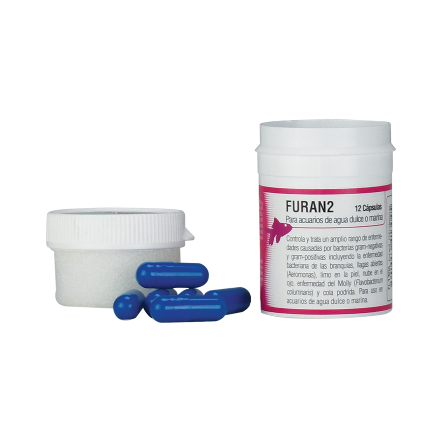 Capsulas para peces - Llagas abiertas (aeromonas) - Limo en la piel - Nube en el ojo