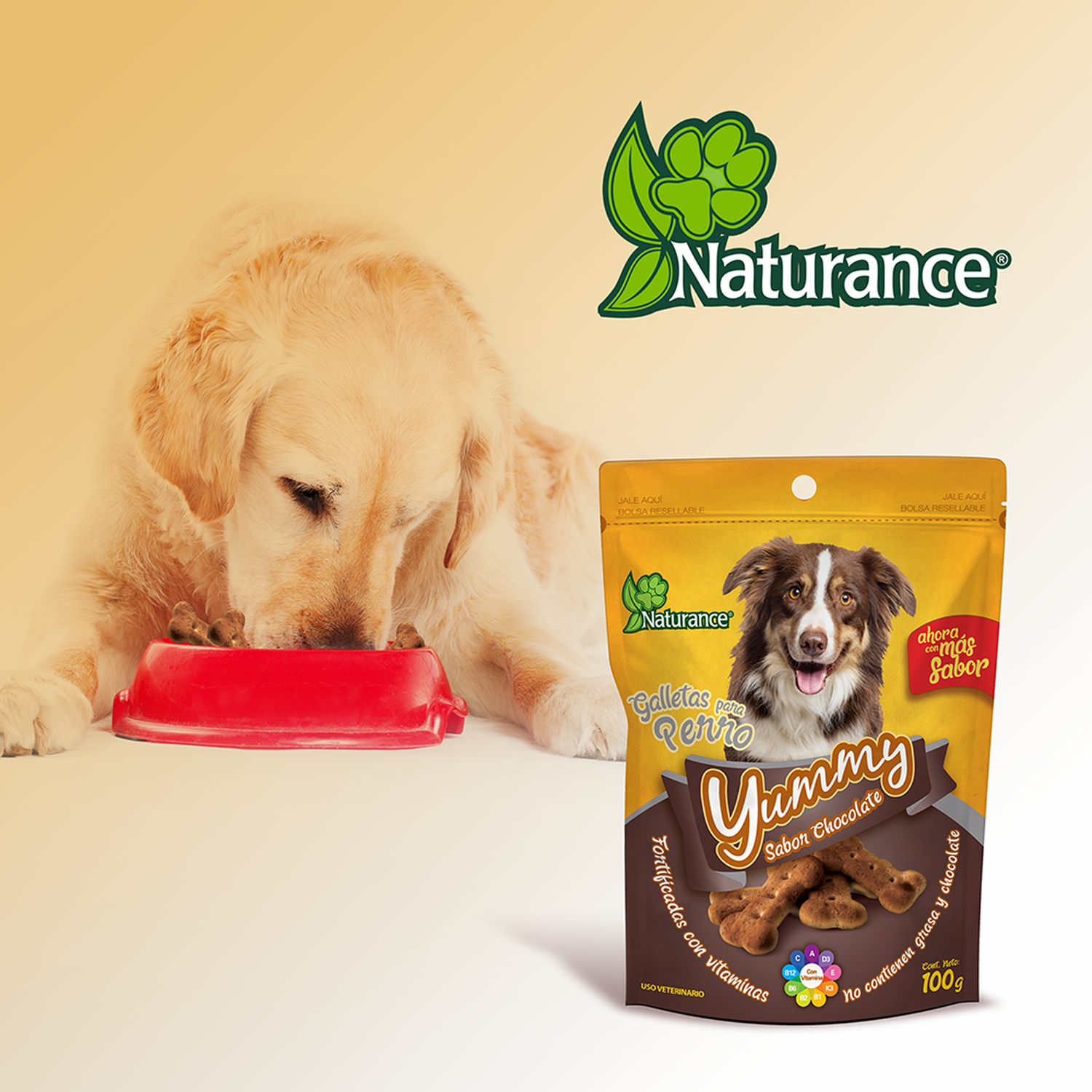 Yummy galletas para perro snacks Sabor Chocolate 100 grs