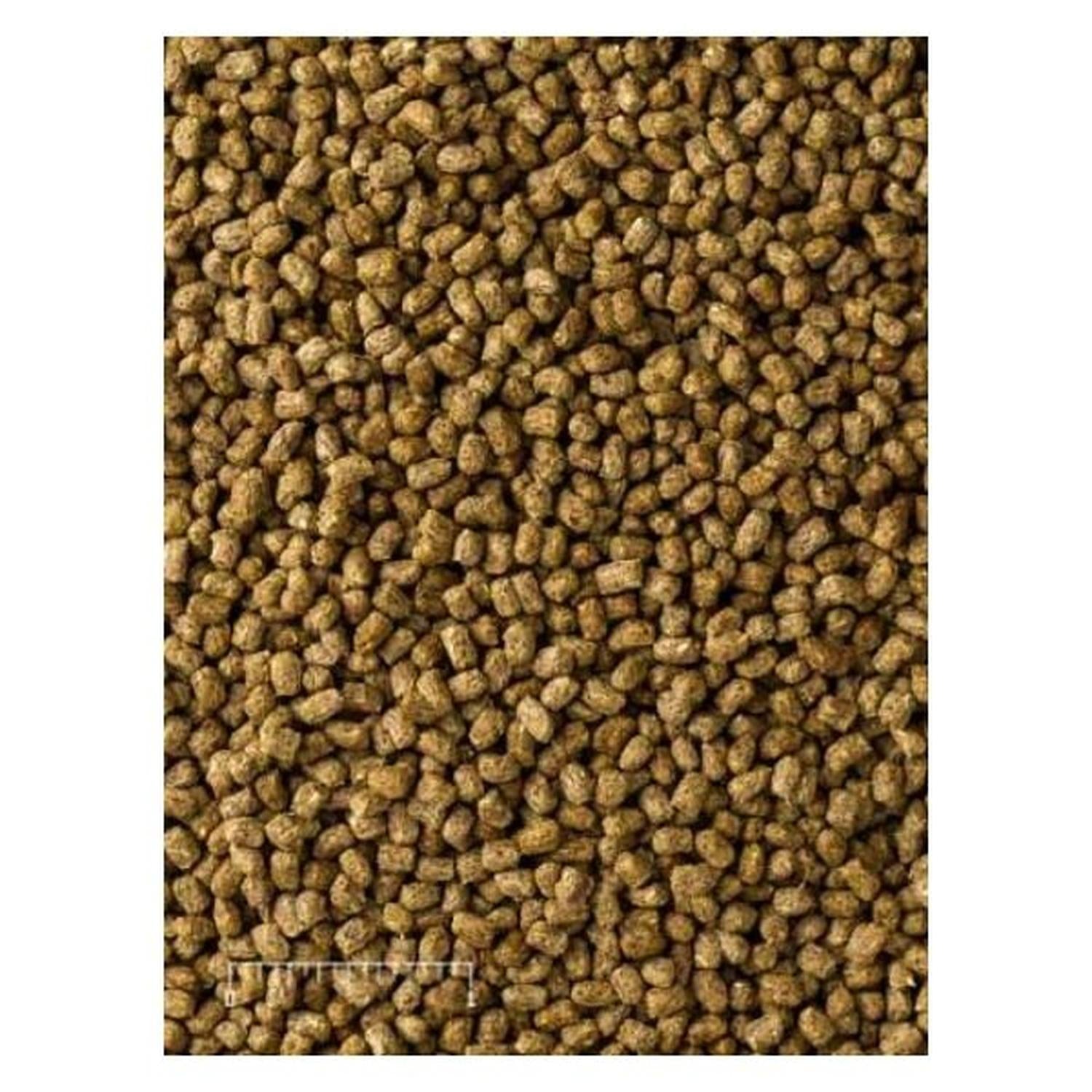 Mazuri Alimento para Iguana Diet 450g alto en fibra