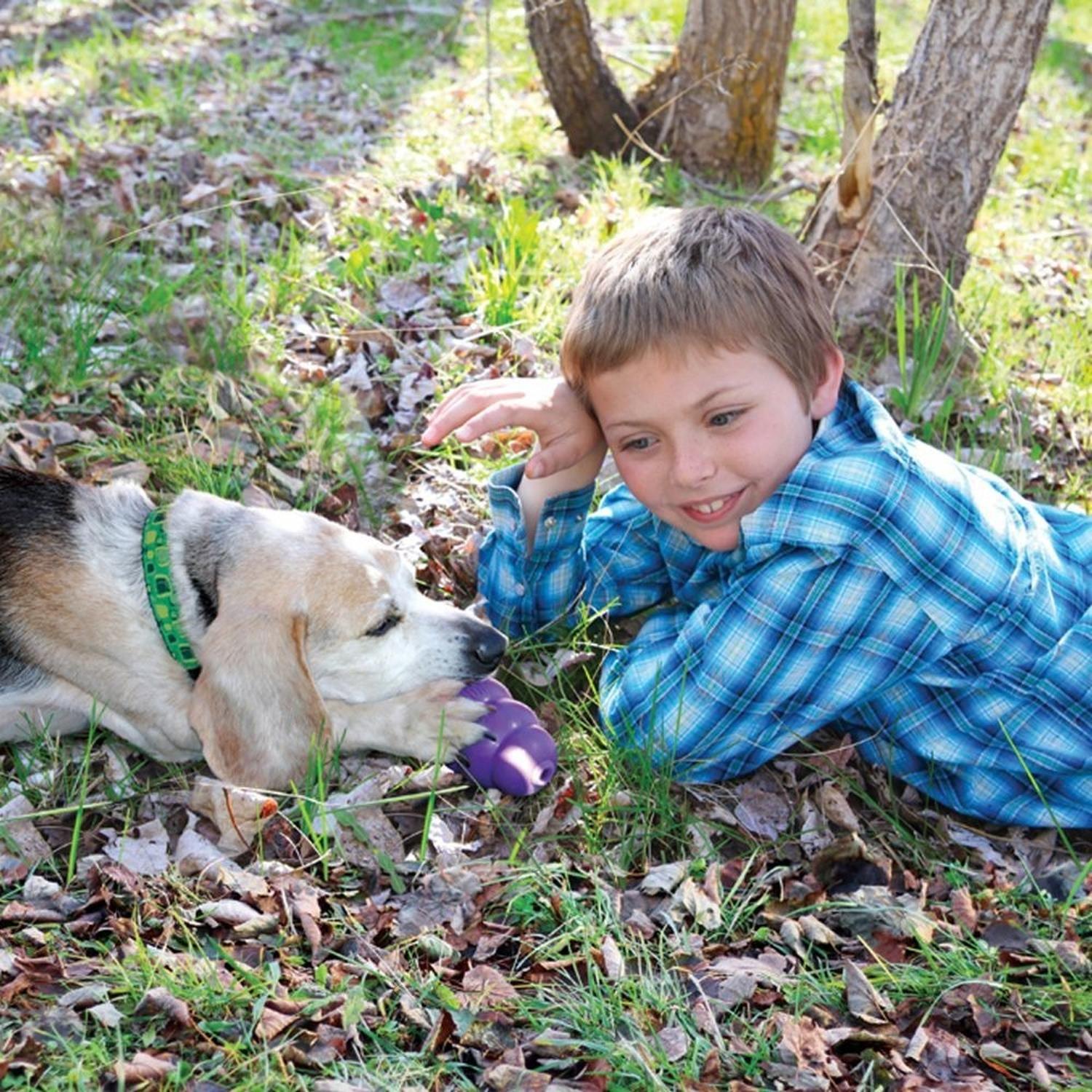 Juguete Para Perros Kong Senior Rellenable Mediano