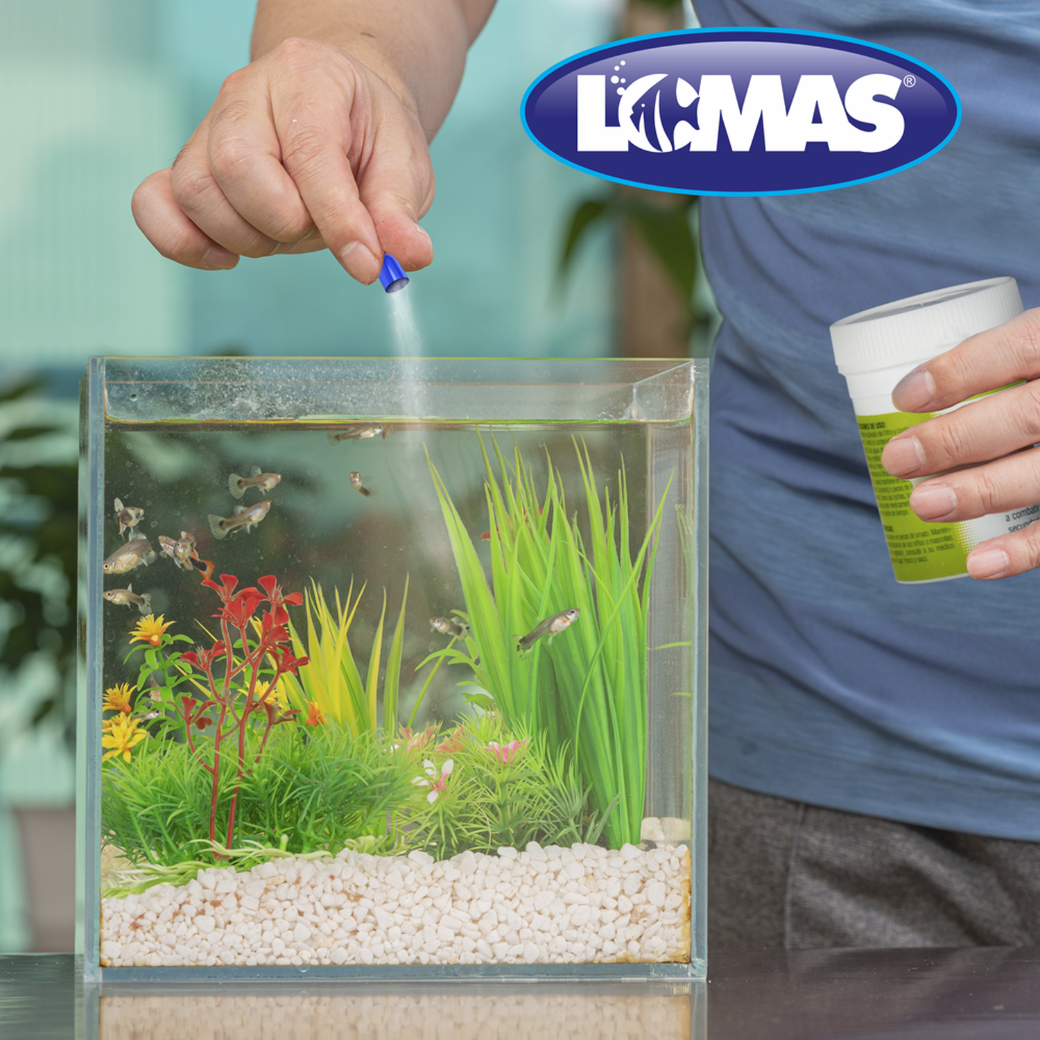 Capsulas para peces protozoario Ich punto blanco