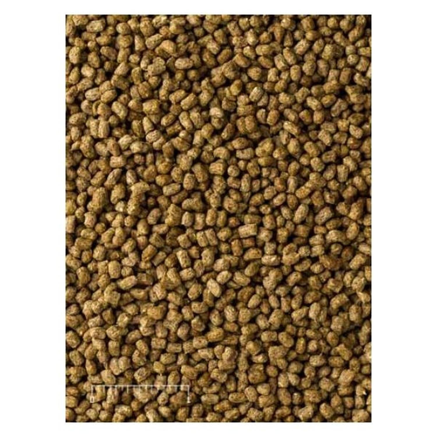 Mazuri Alimento pequeña tortuga omnivora, uromastyx 450g