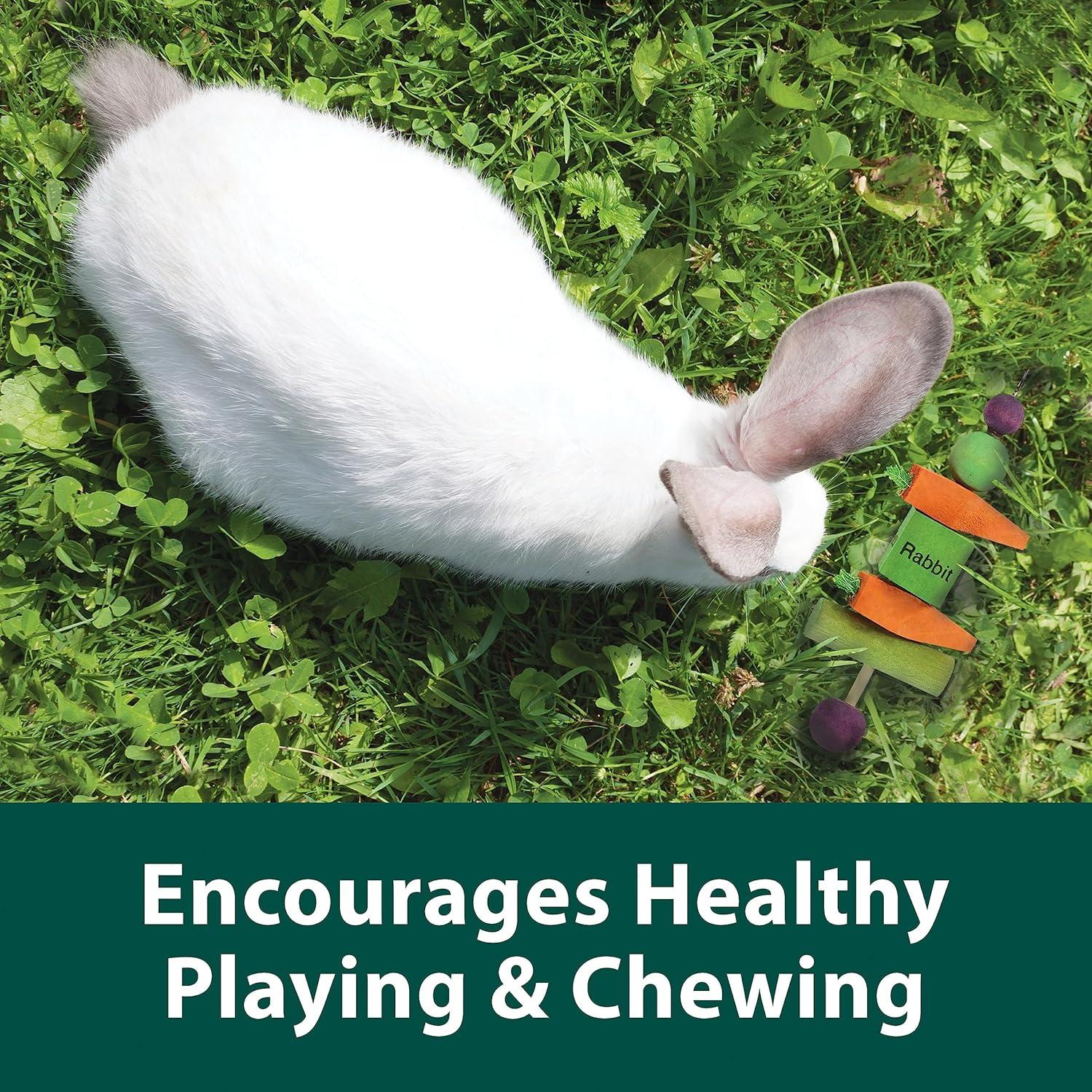 Kaytee juguete colgante Perfect Chew Para Conejo