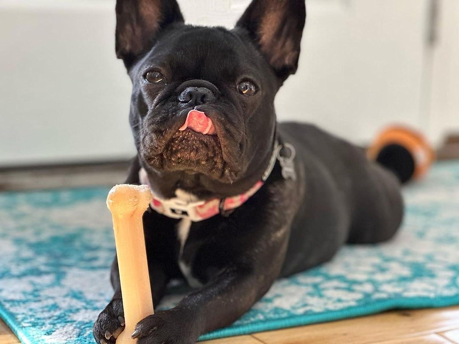 Juguete Nylabone perro Dura Power Chew sabor Original 11kg