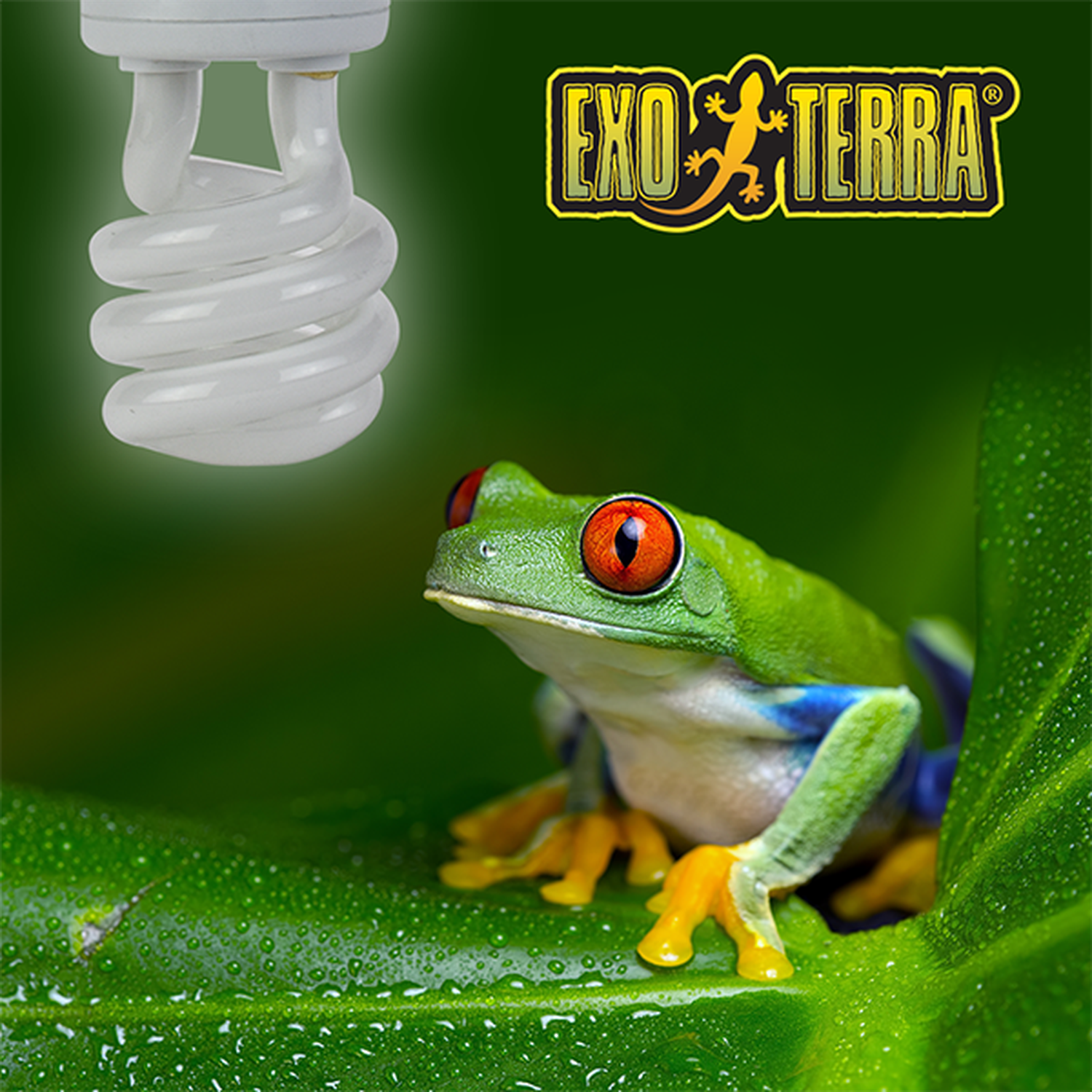 Exo Terra foco para terrario reptiles Repti Glo 2.0 13w natural
