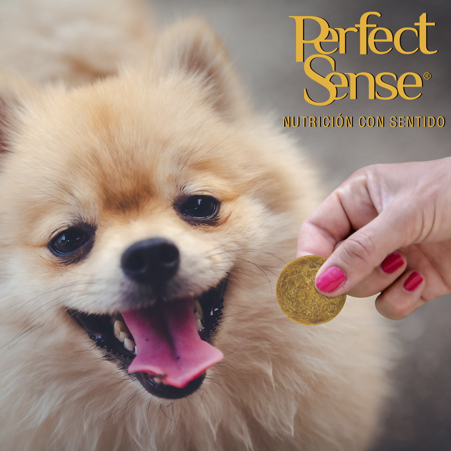 Perfect Sense premio natural pollo para perro chips 100 grs