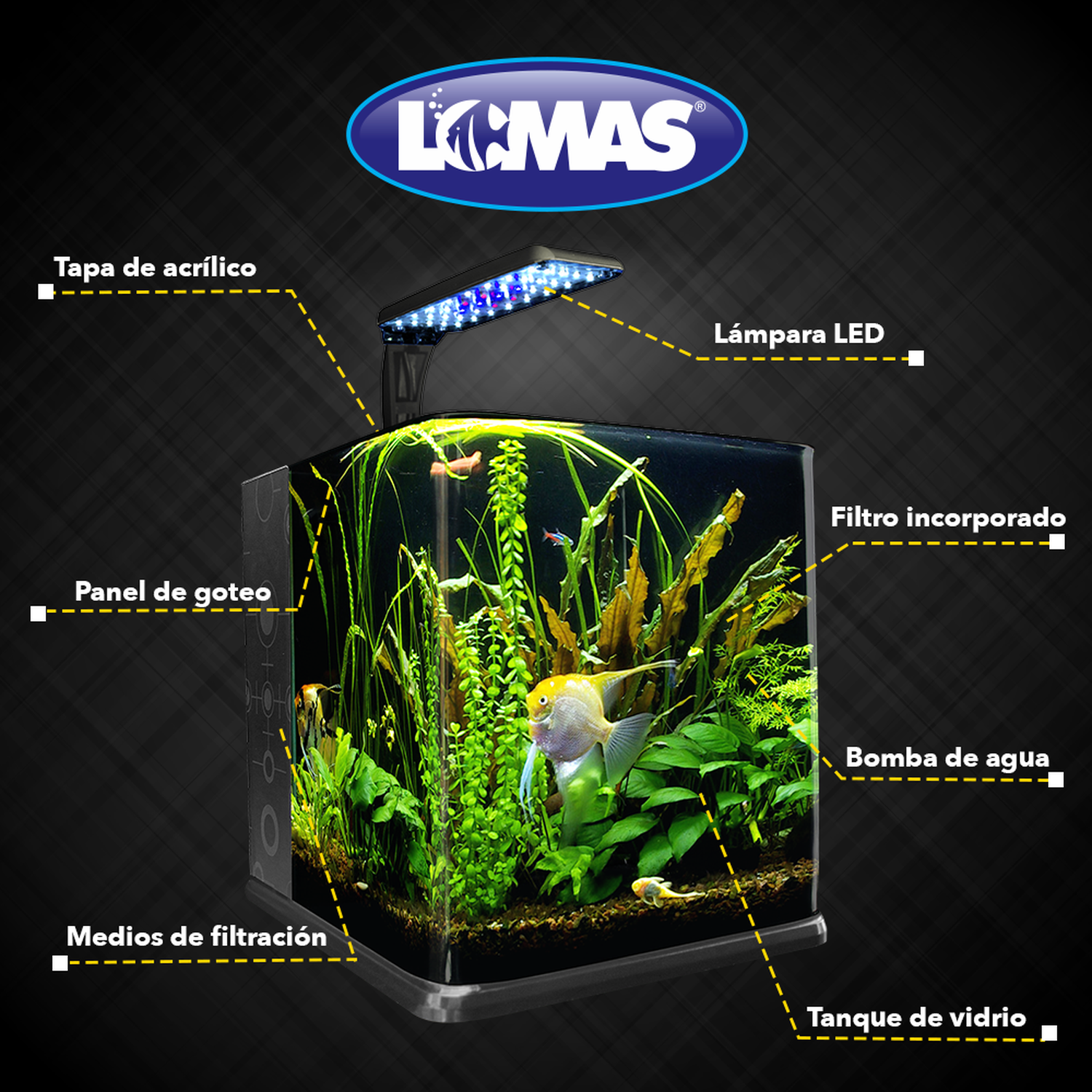 Pecera Equipada 18 Litros De Vidrio Nano Acuario C/ Luz Led