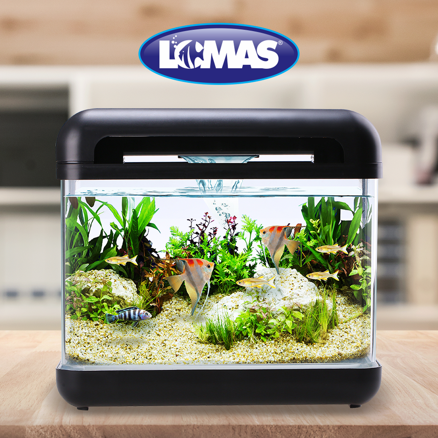 Lomas acuario nano negro con filtro cascada y luz 15 litros