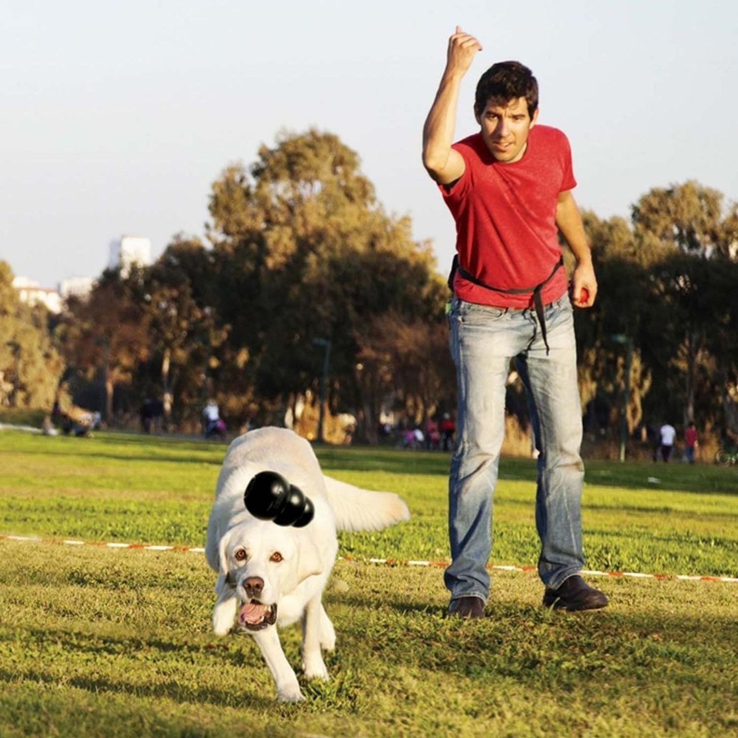 Juguete Para Perros Kong Extreme Grande